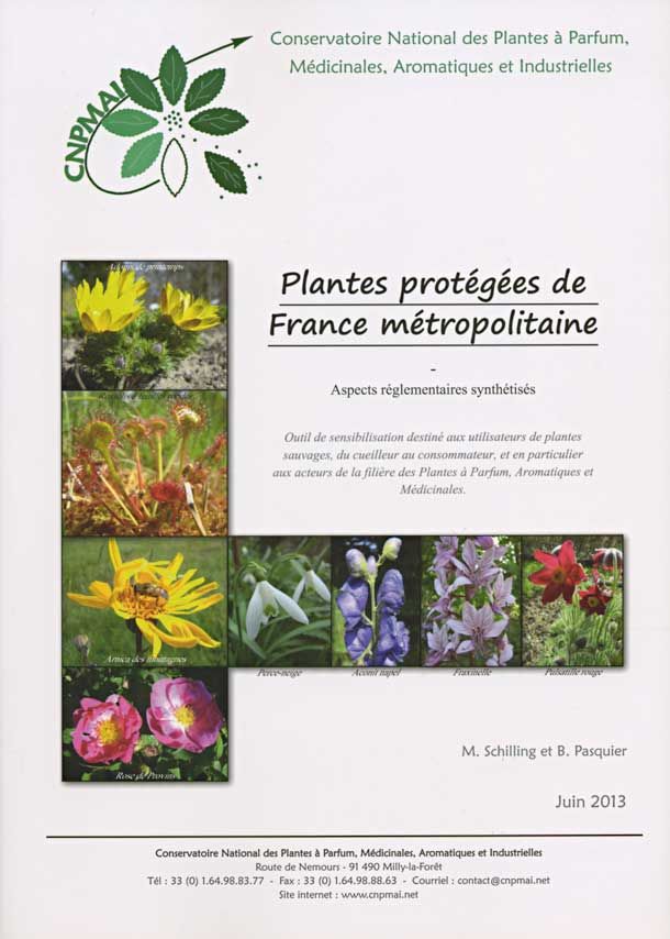 Marche-herboriste-Plantes-Protegees