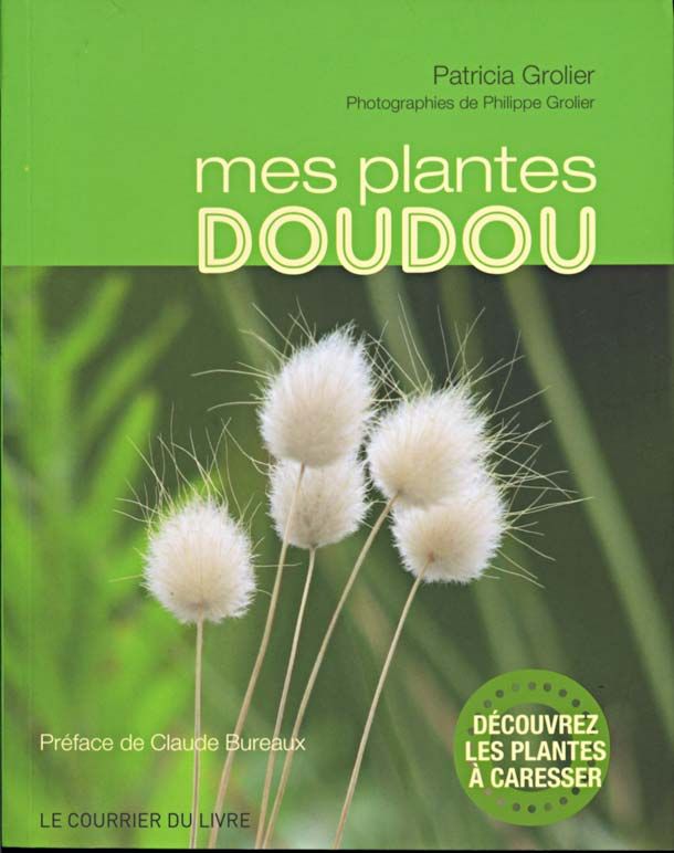 Marche-herboriste-Plantes-Doudou