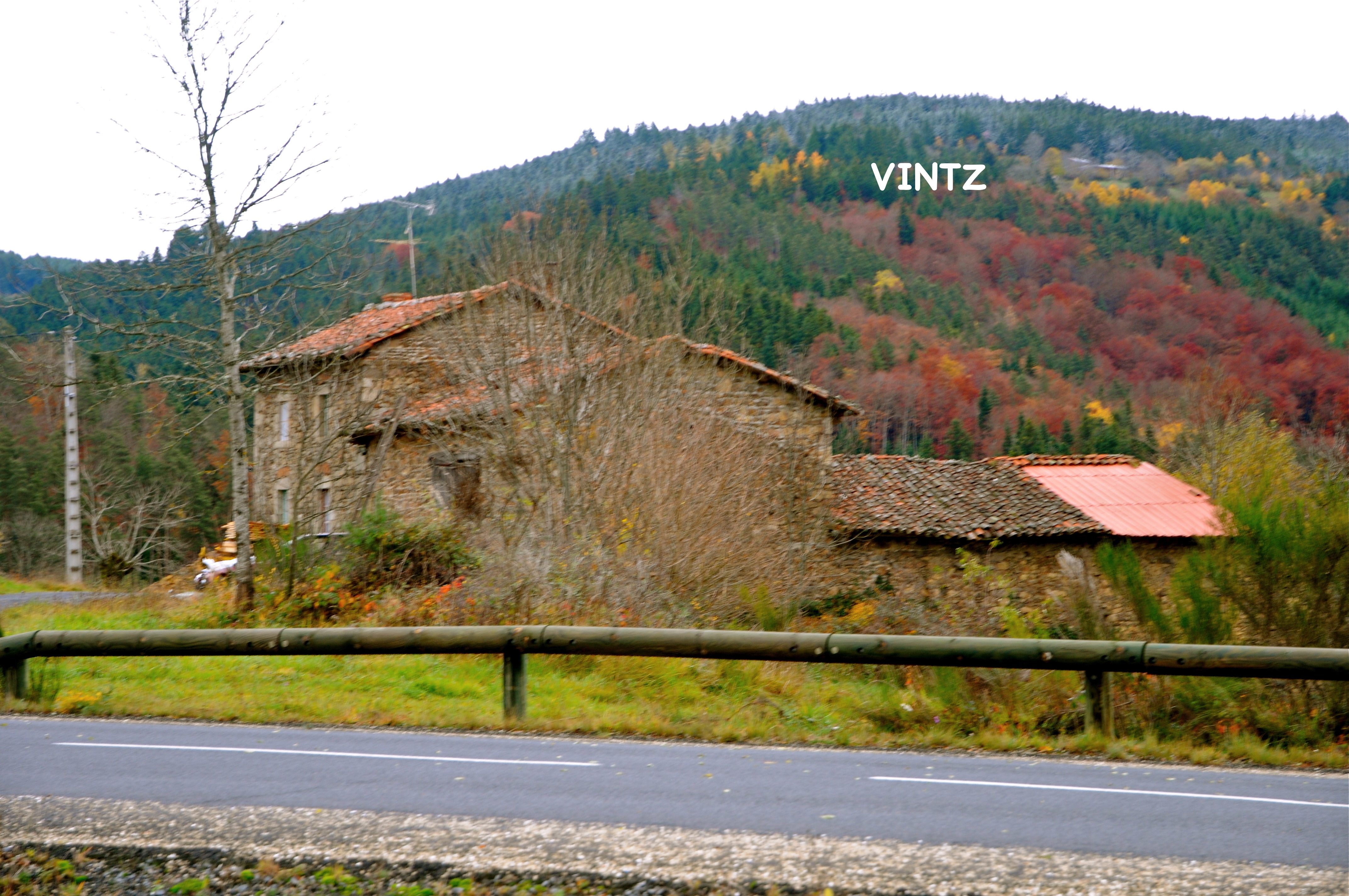 Vintz