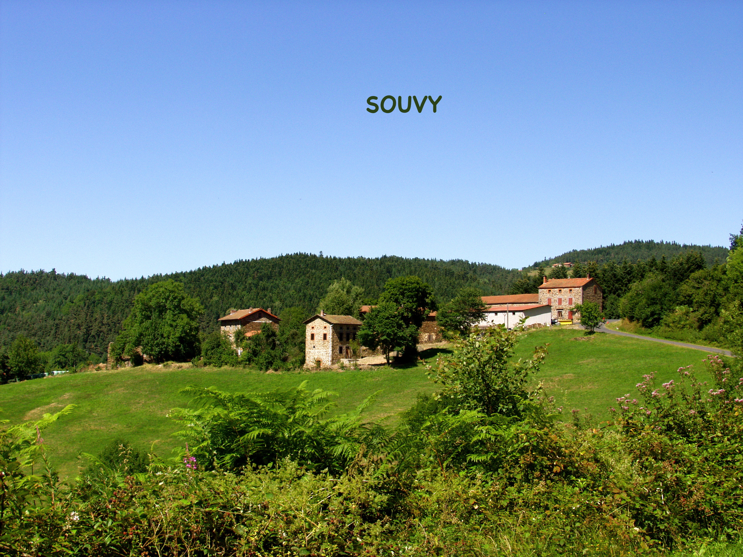 Souvy 