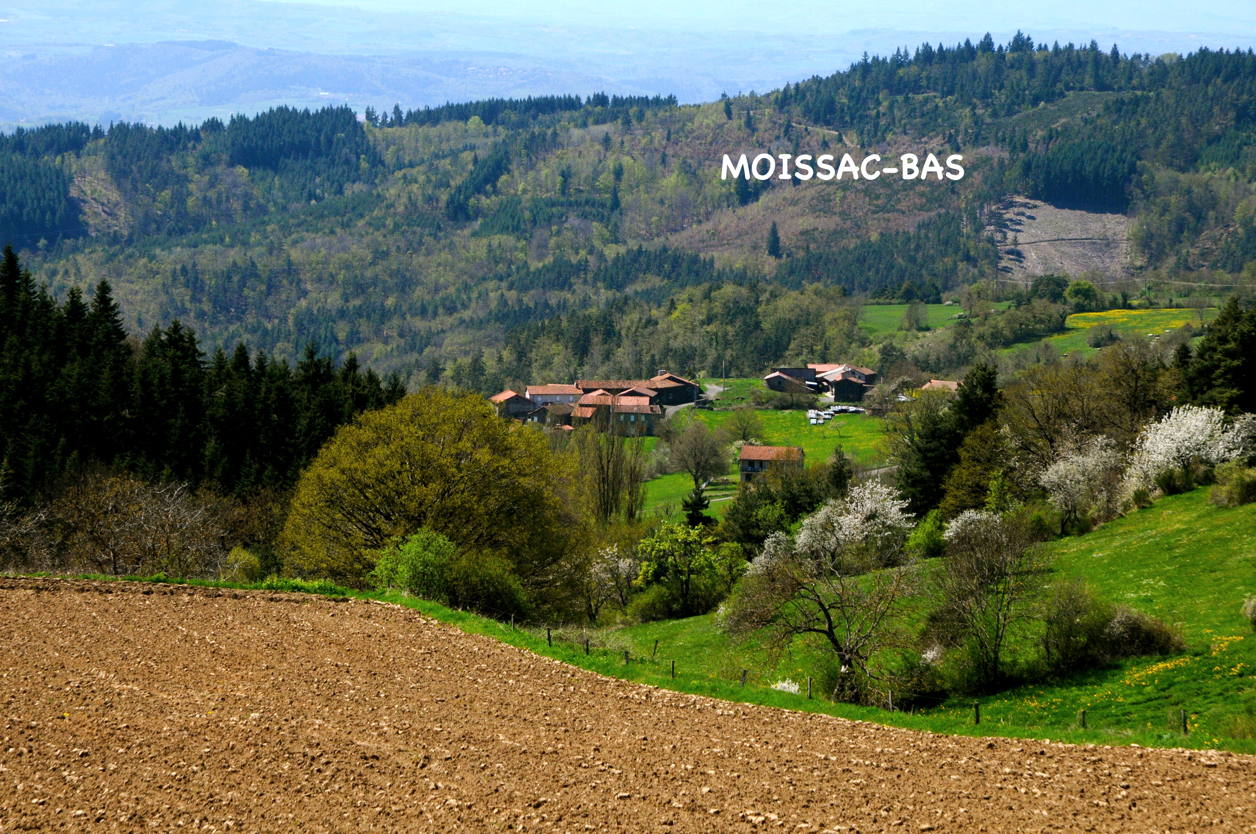 Moissac bas 