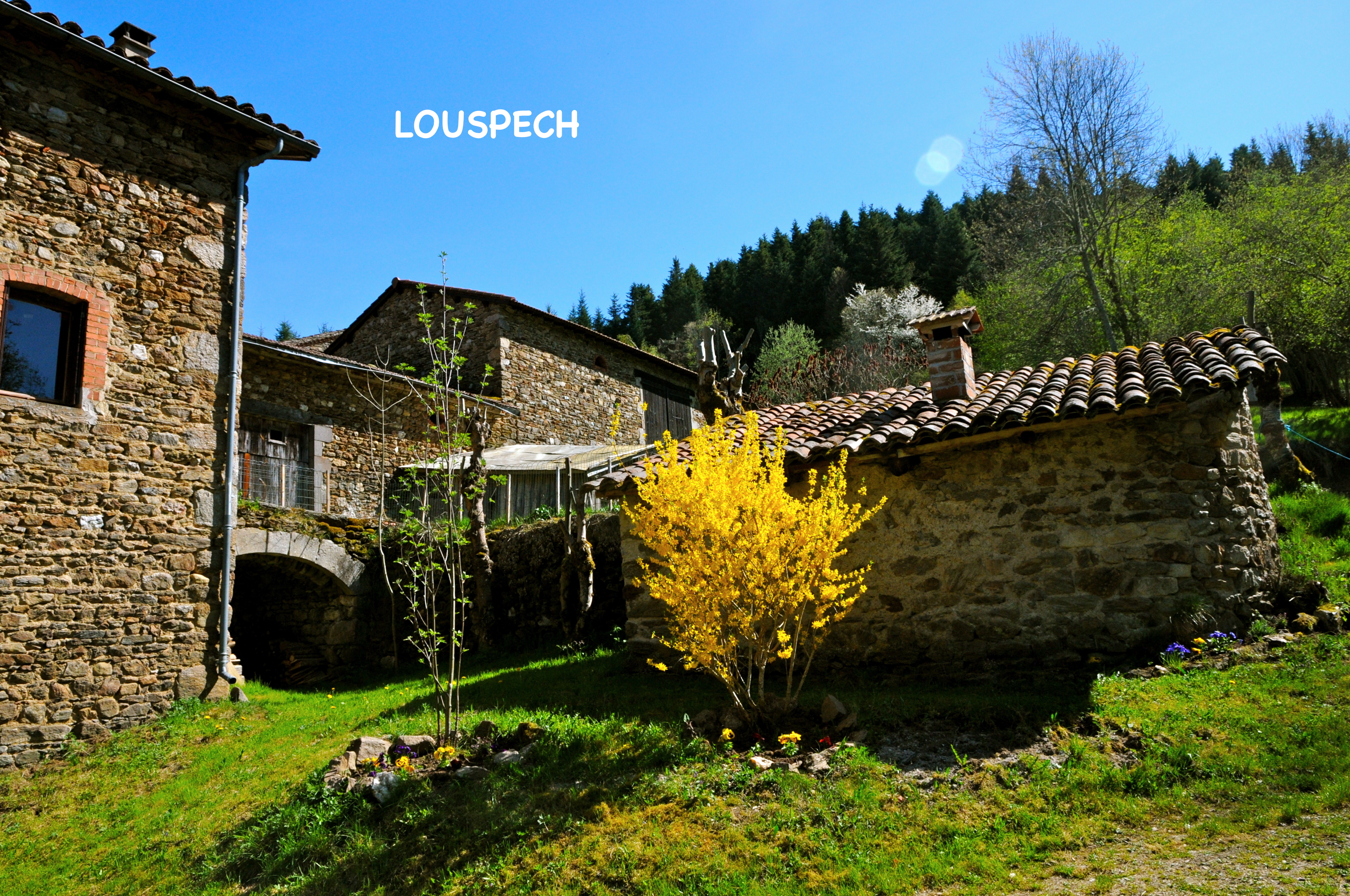 Louspech 