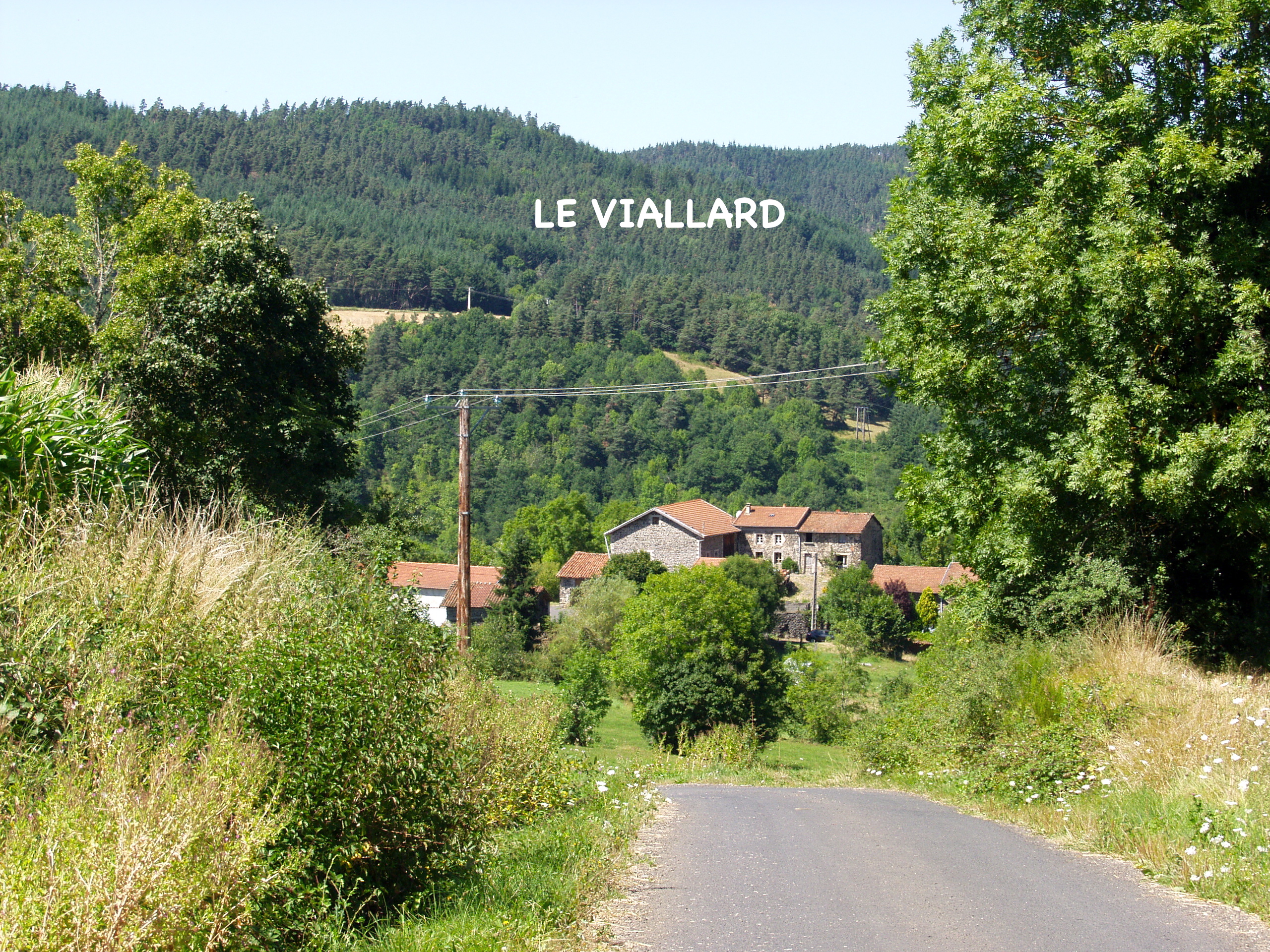 Le viallard 