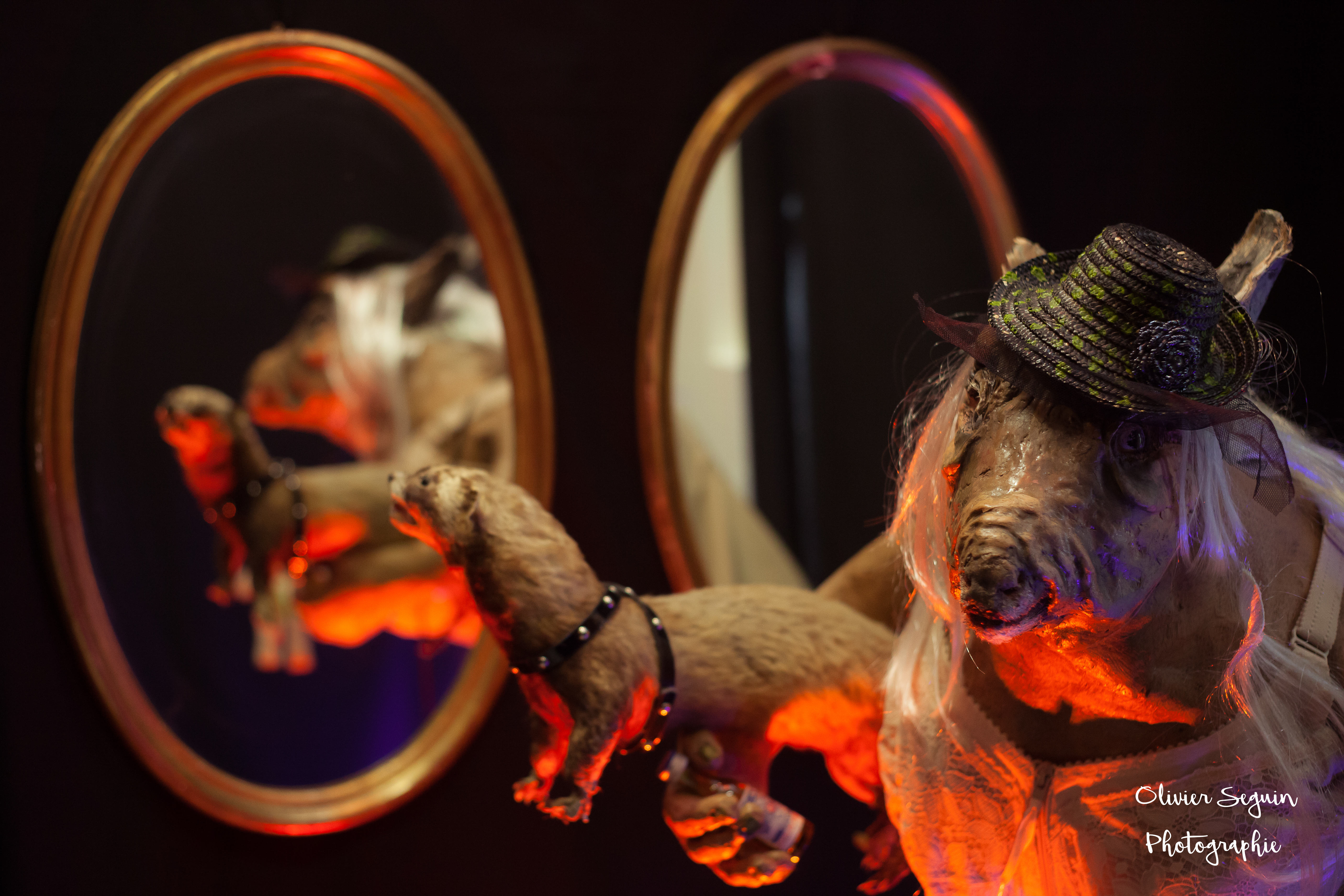 Mirroir