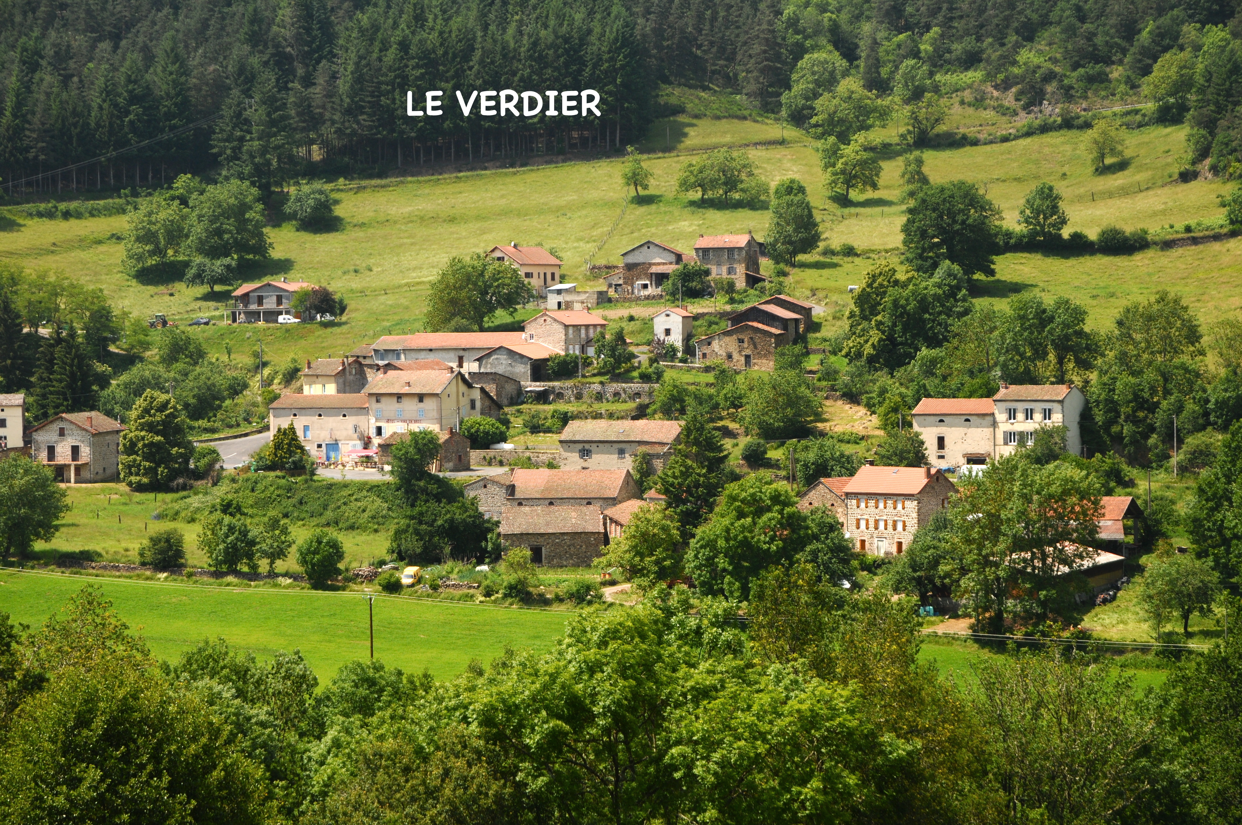 Le verdier jpg copie