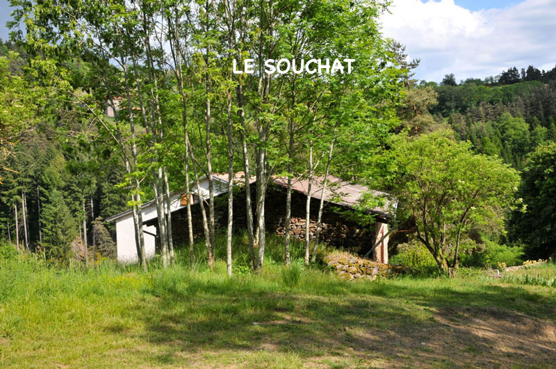 Le souchat