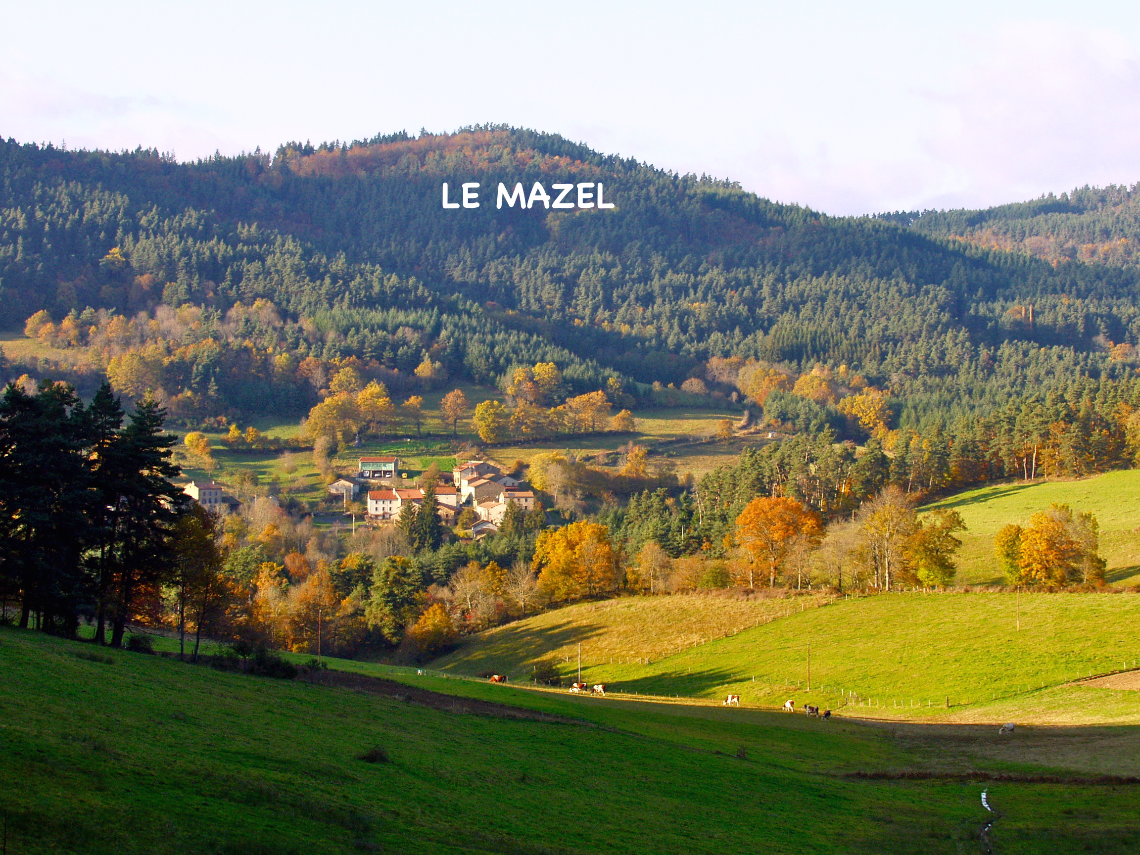 Le mazel 