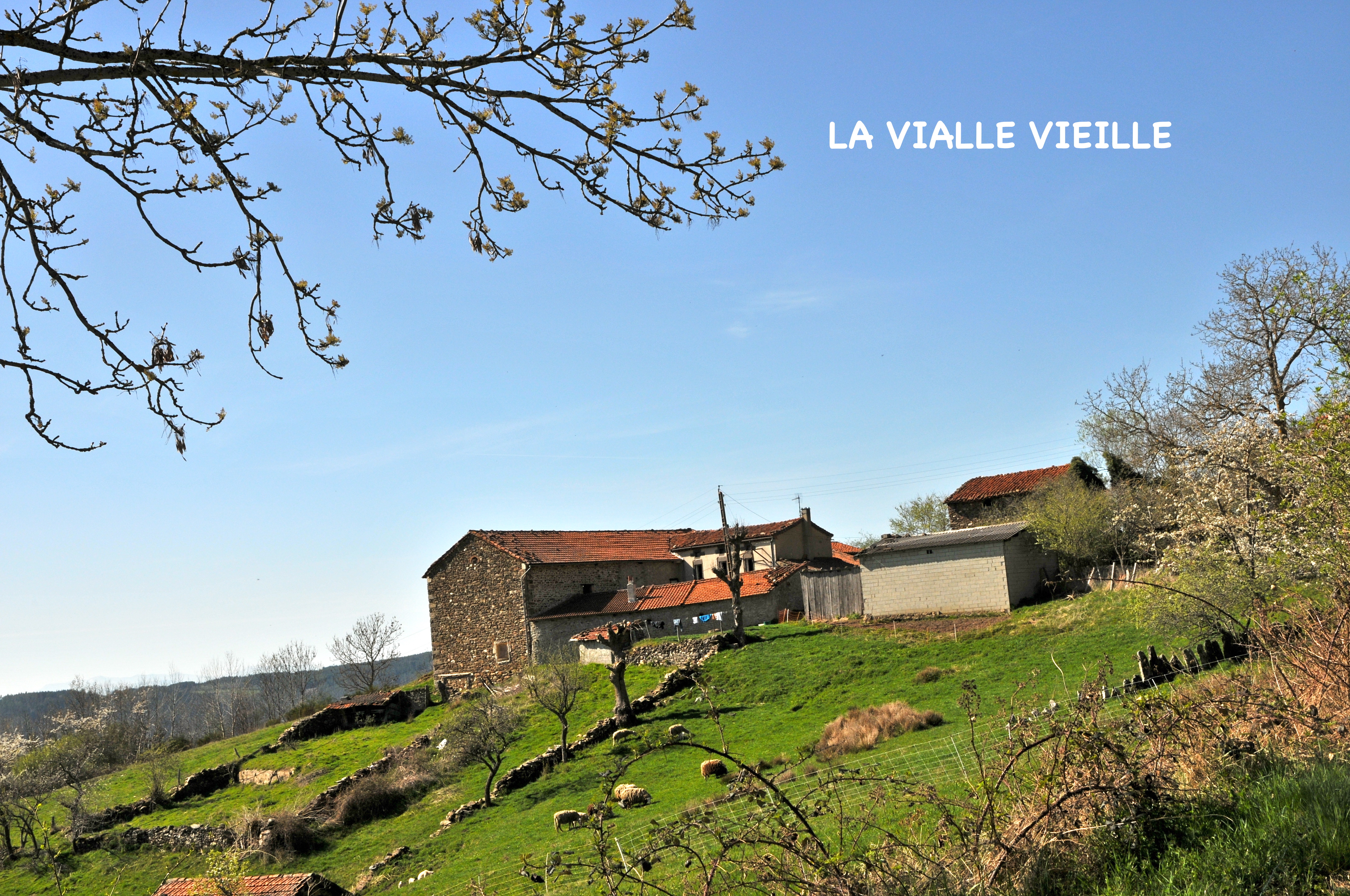 La vialle vieille 