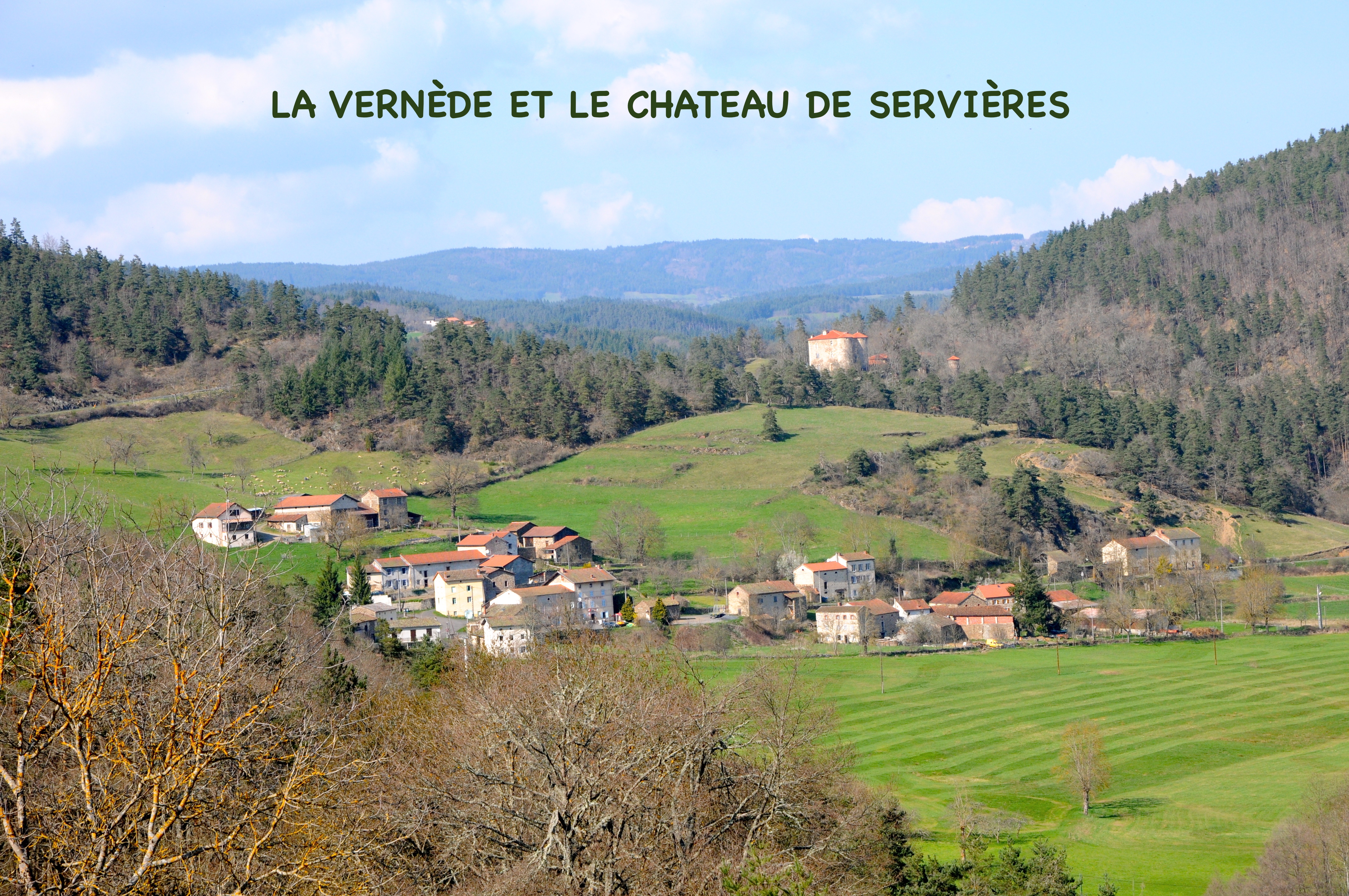 La verne de 