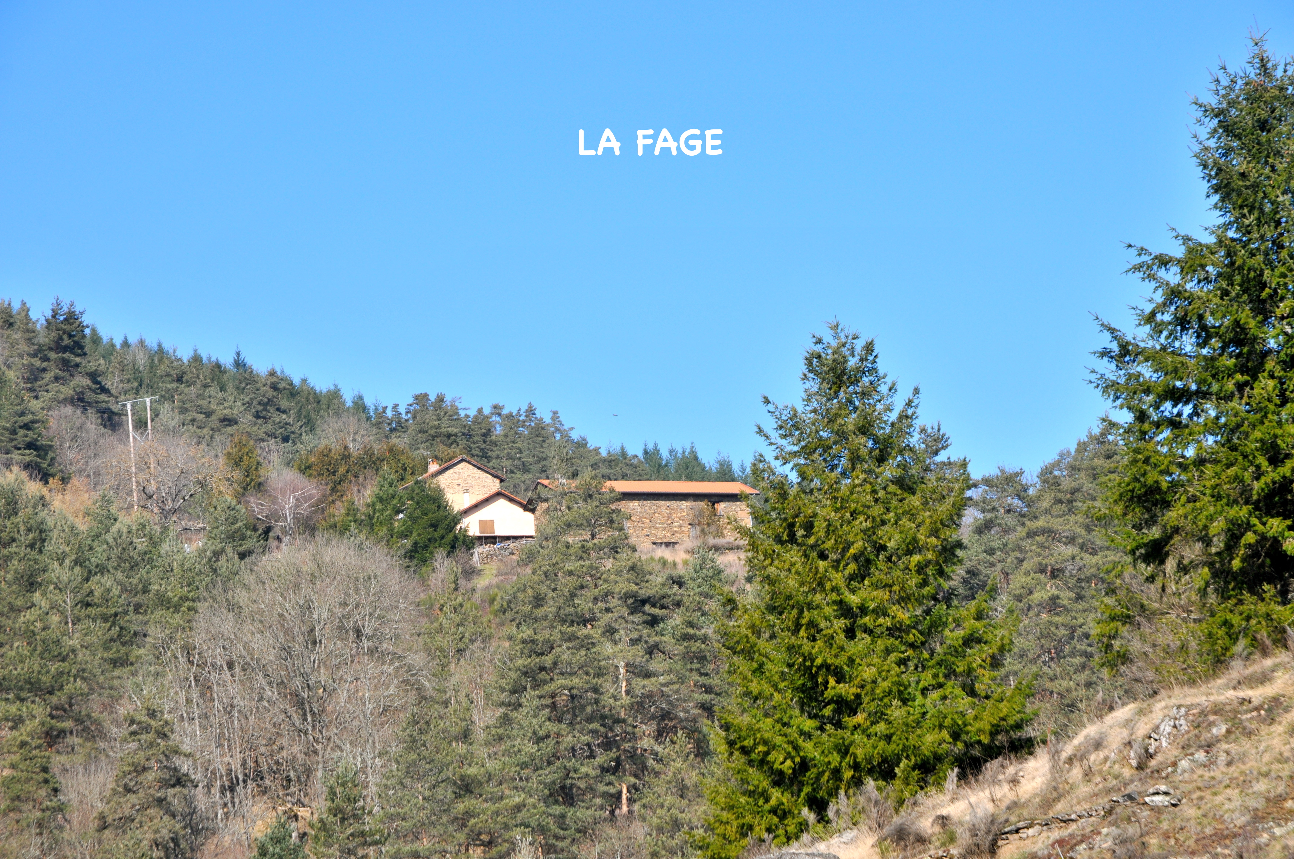 La fage 