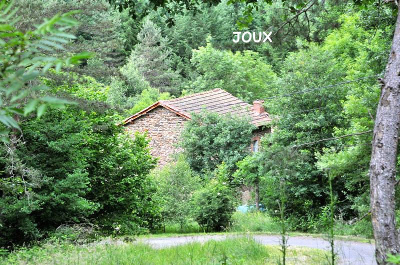 Joux 