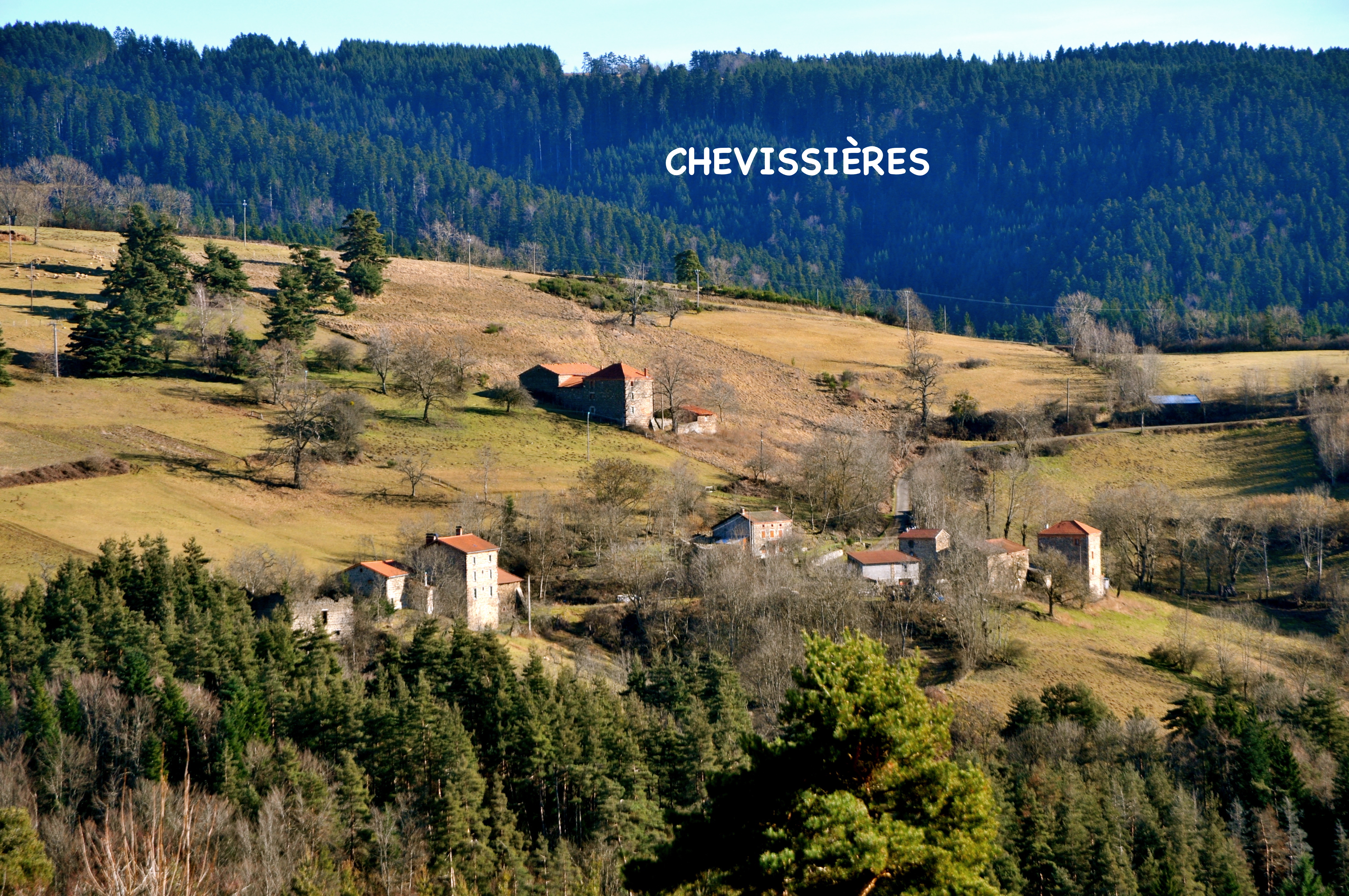 Chevissie res