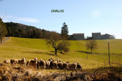 Chalus 