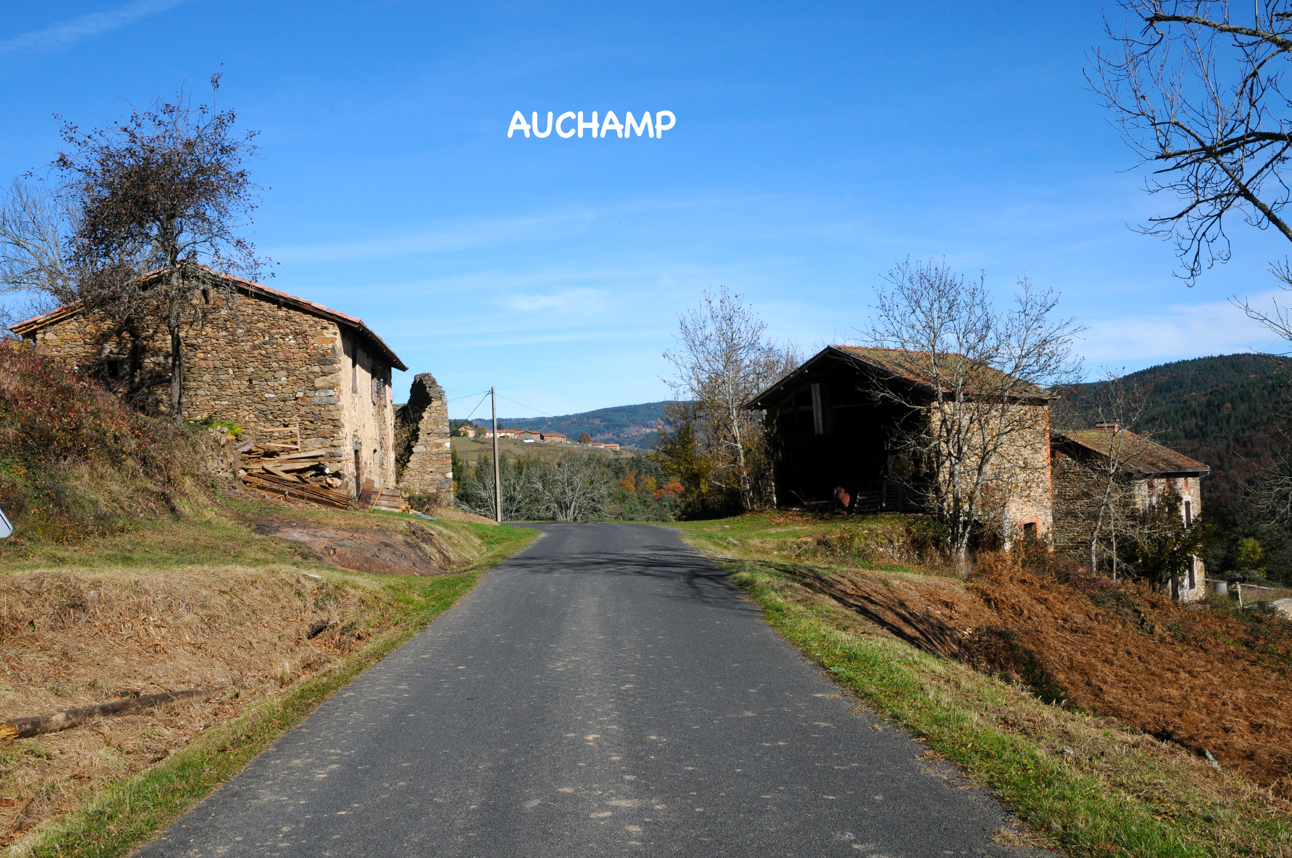Auchamp