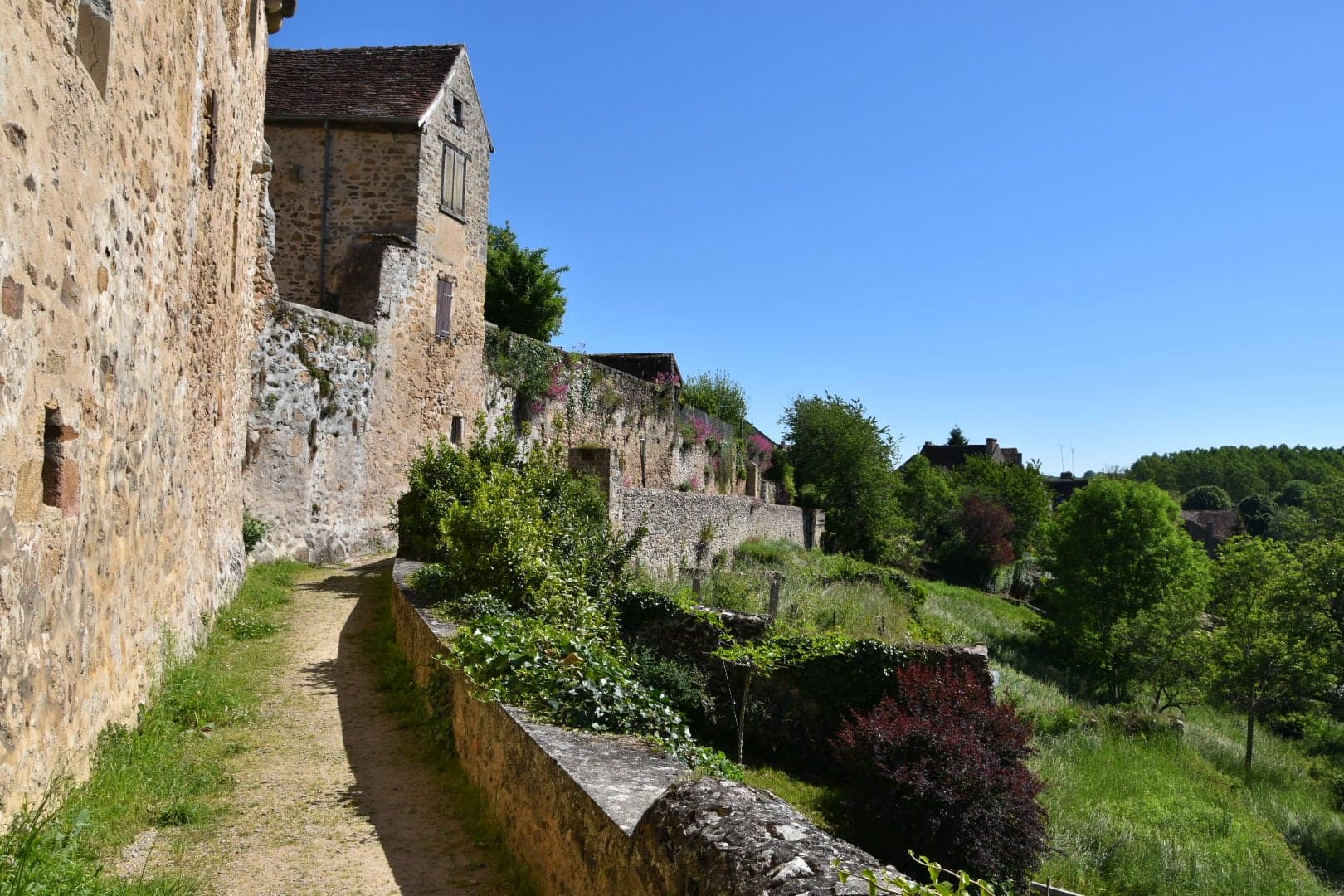 Chemin groseiller 2