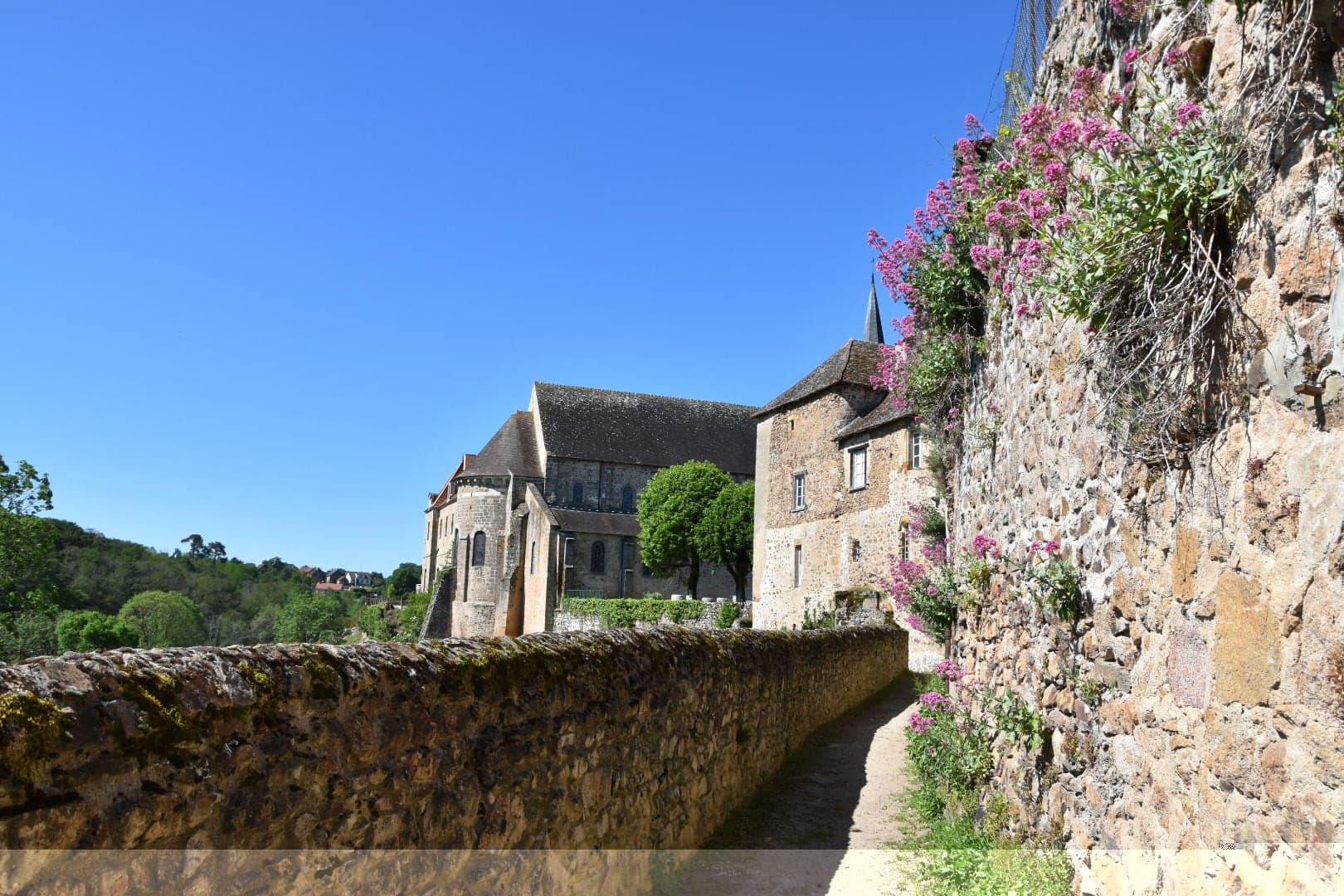 Chemin groseillers 
