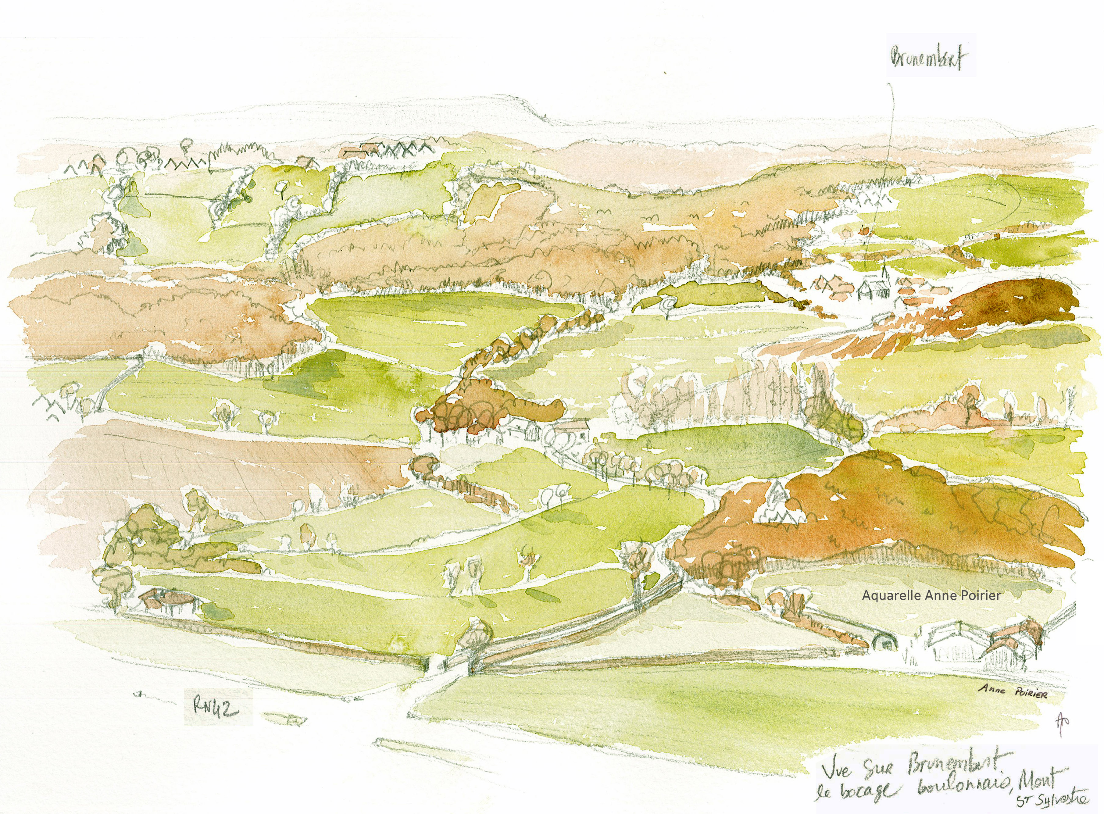 Aquarelle fond de la boutonniere anne poirier2