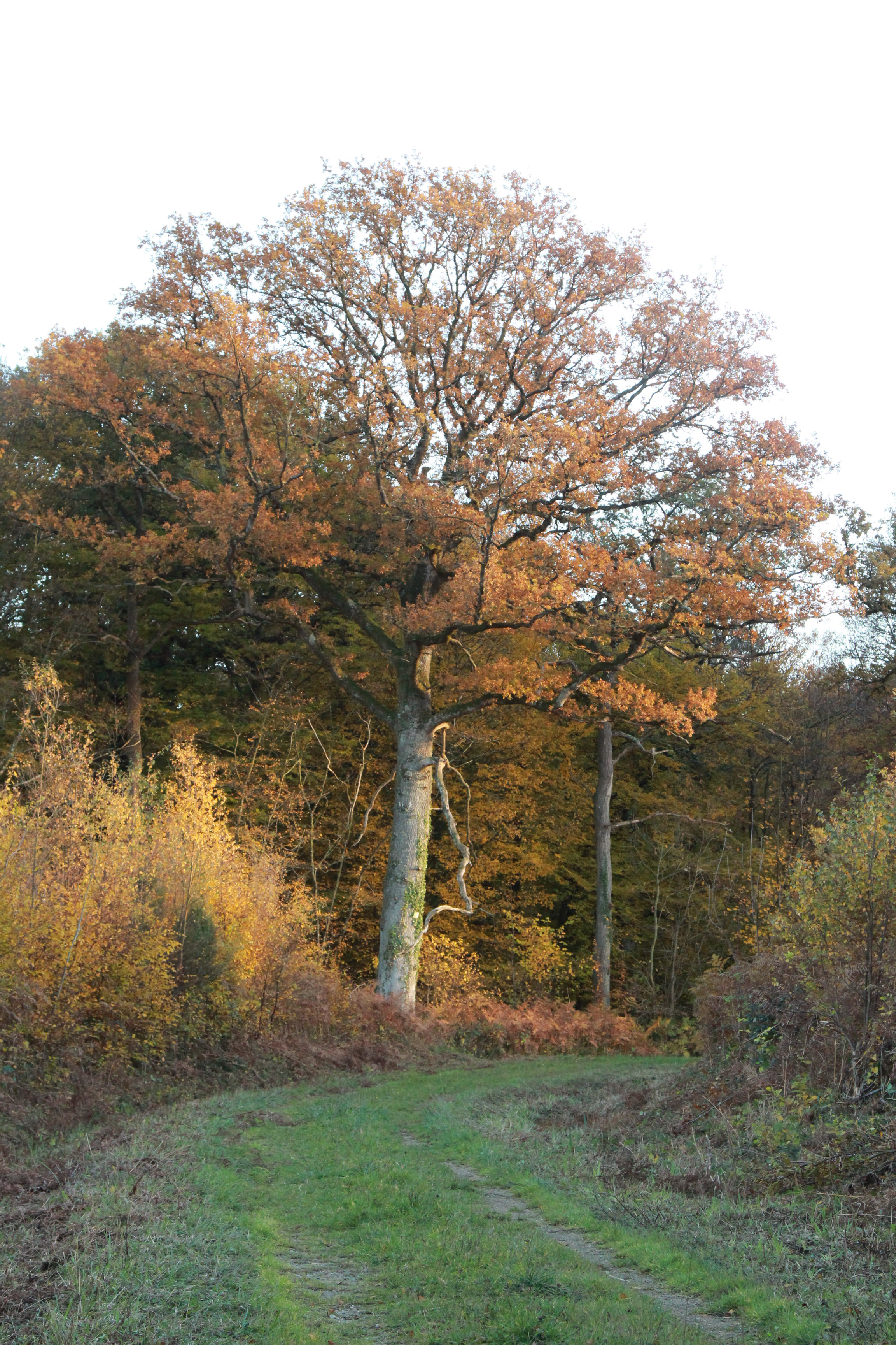 IMG 1695-Photo-Anne-Poirier