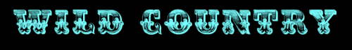 Projet1