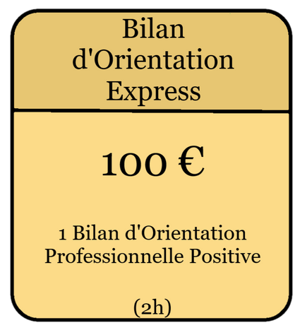 Bilan-Orientation-Express2