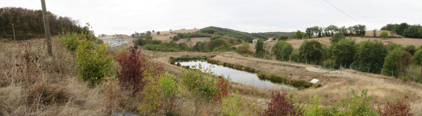 Plantations-bassin-buissonniere-Moyen-1