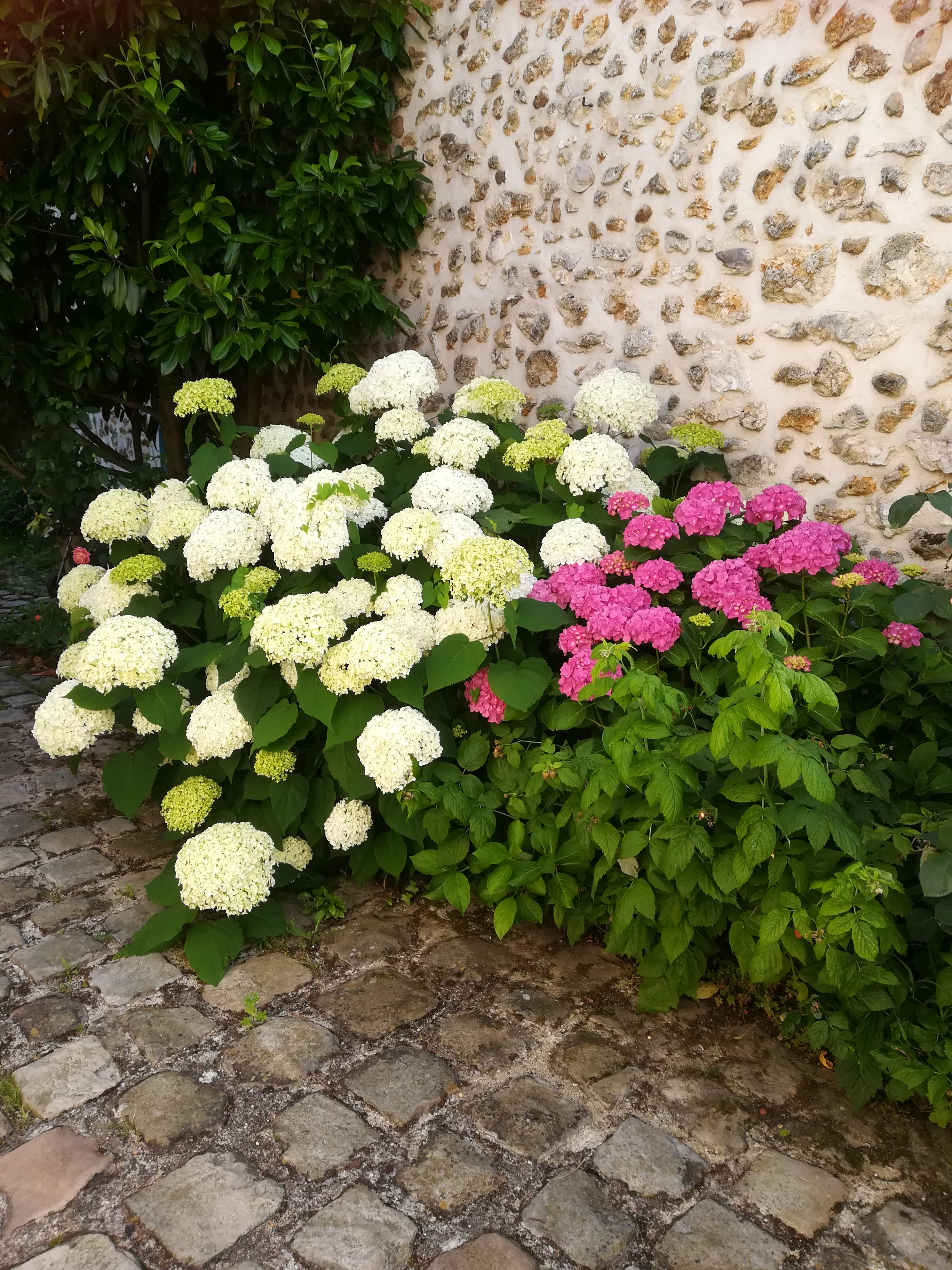 IMG 20180624 190404