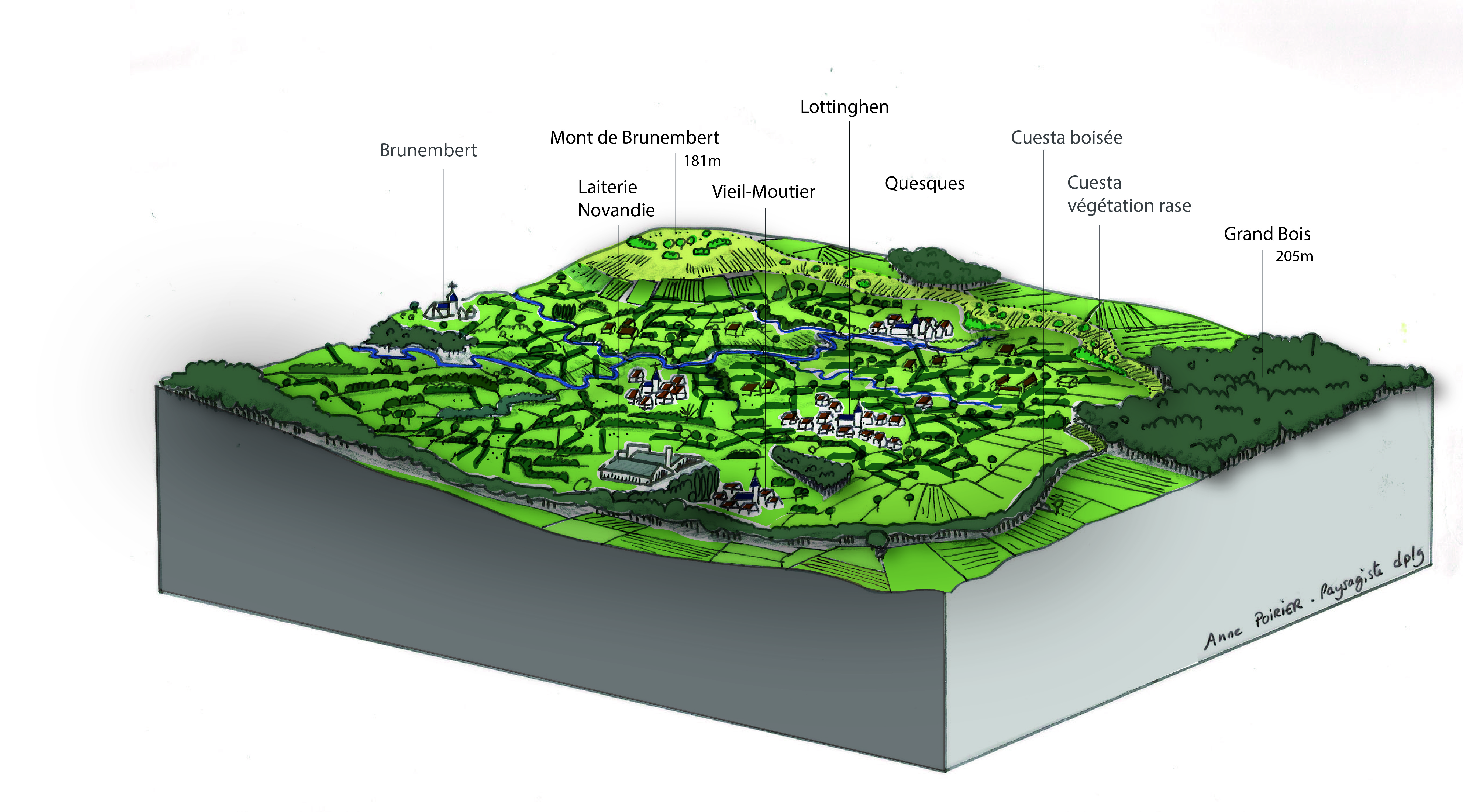Bloc-diagramme-fond-boutonniere-en-coursV2