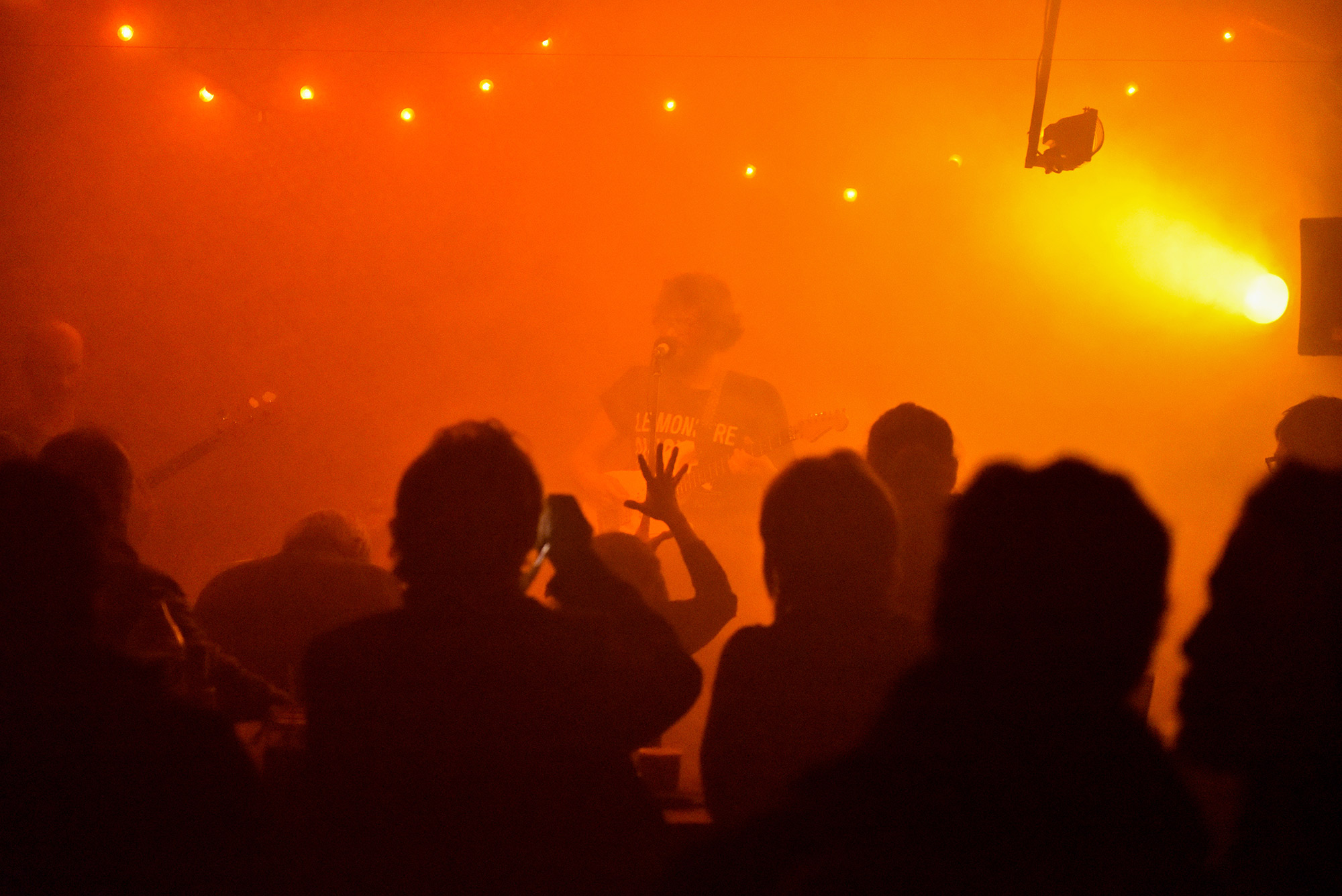 fredox live 
