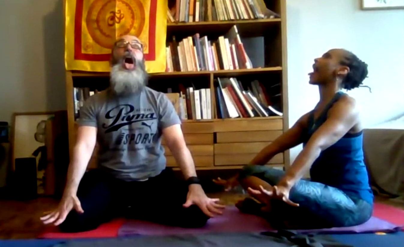 Mais où le yoga veut-il en venir ?