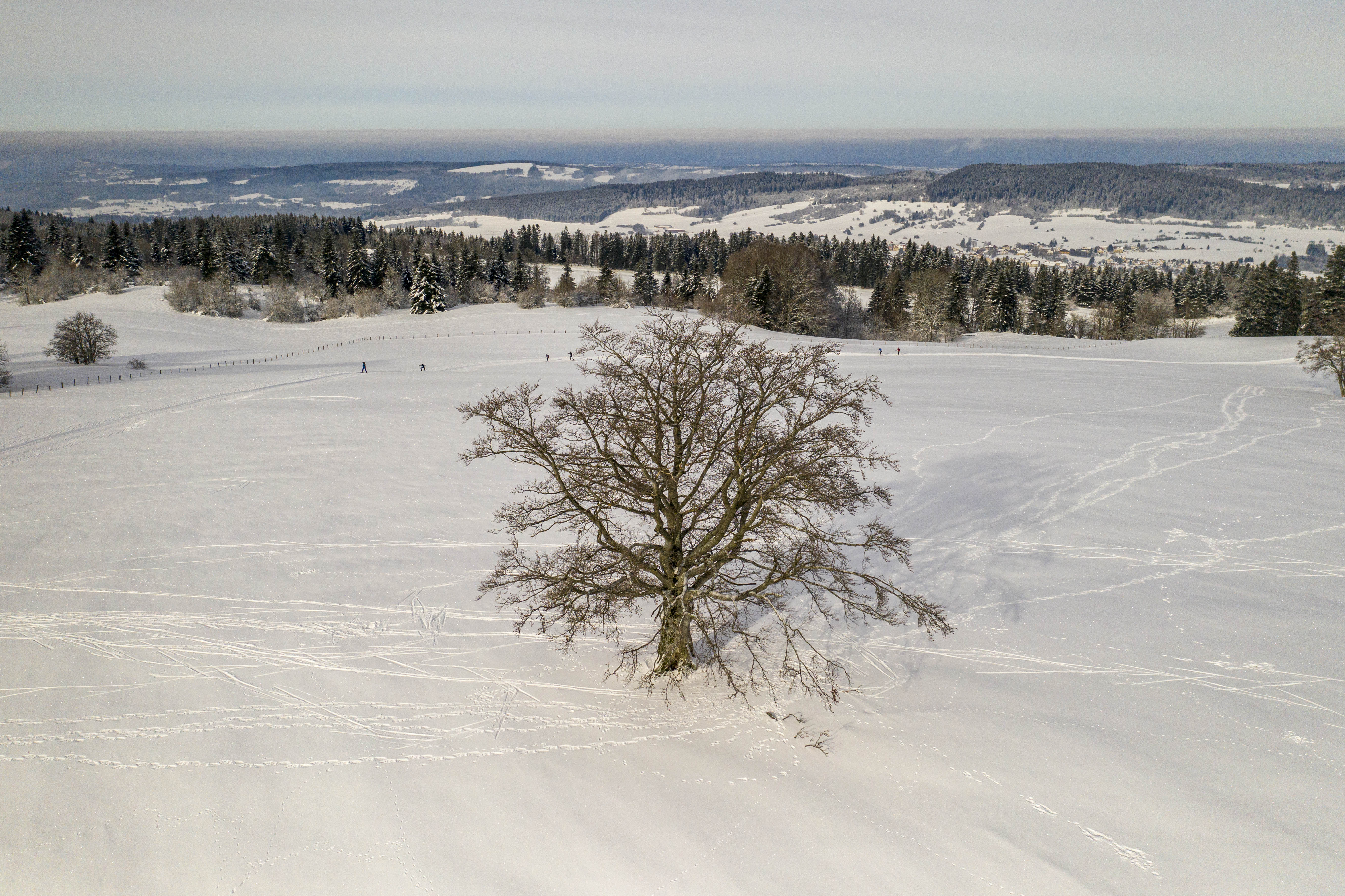 Dji 0403
