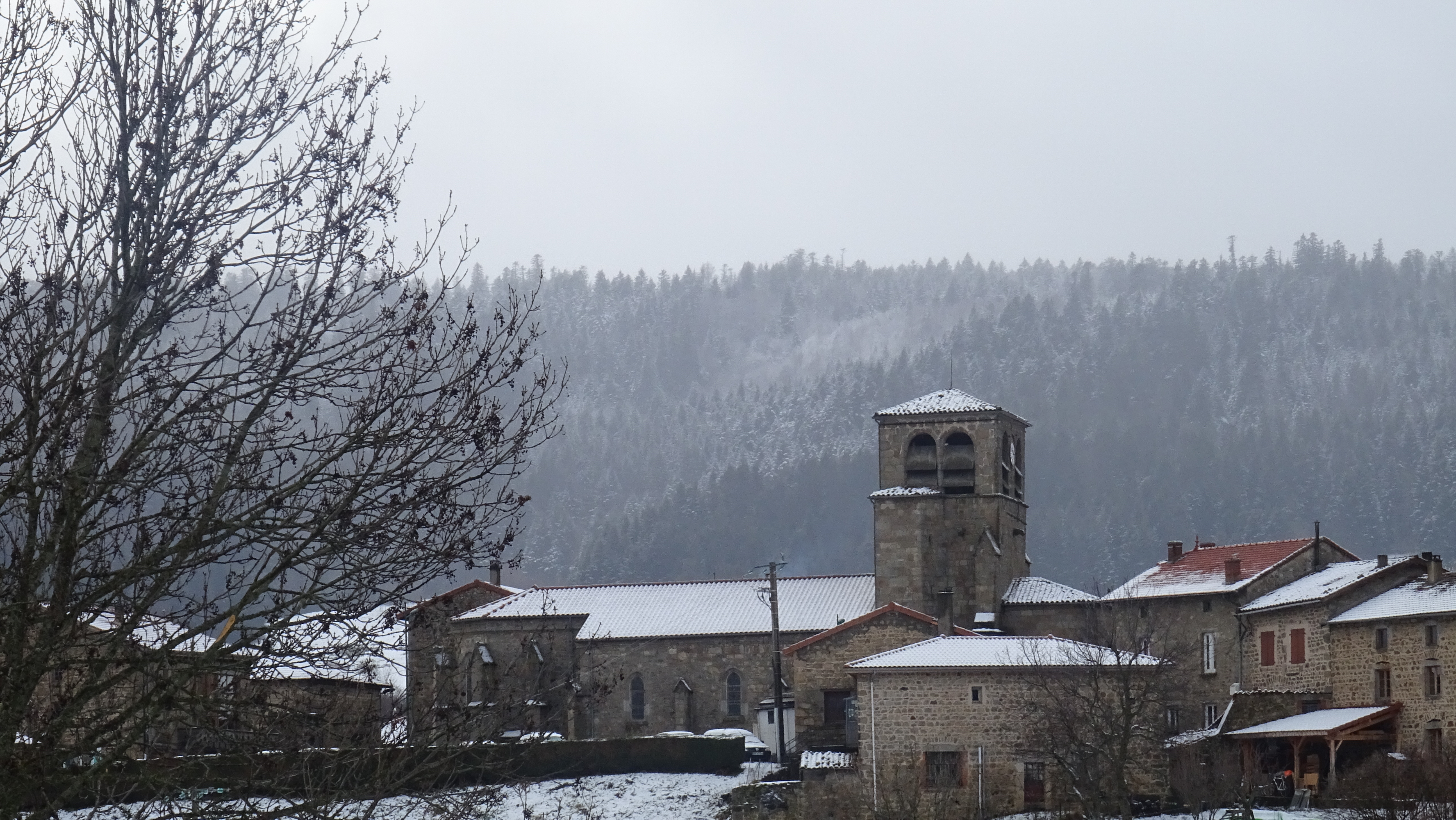 Dsc01790