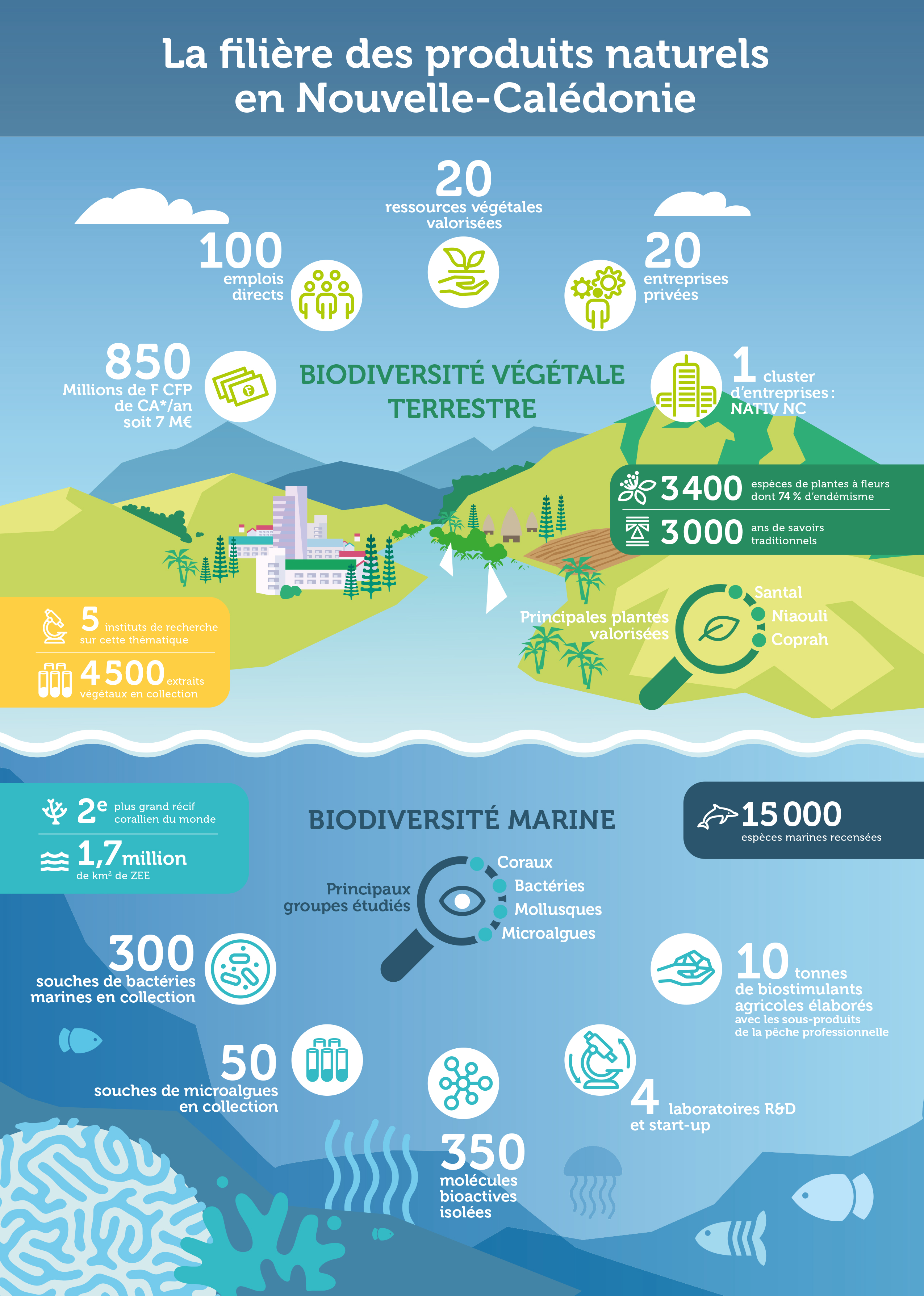 Infographie-native copyright-nativ
