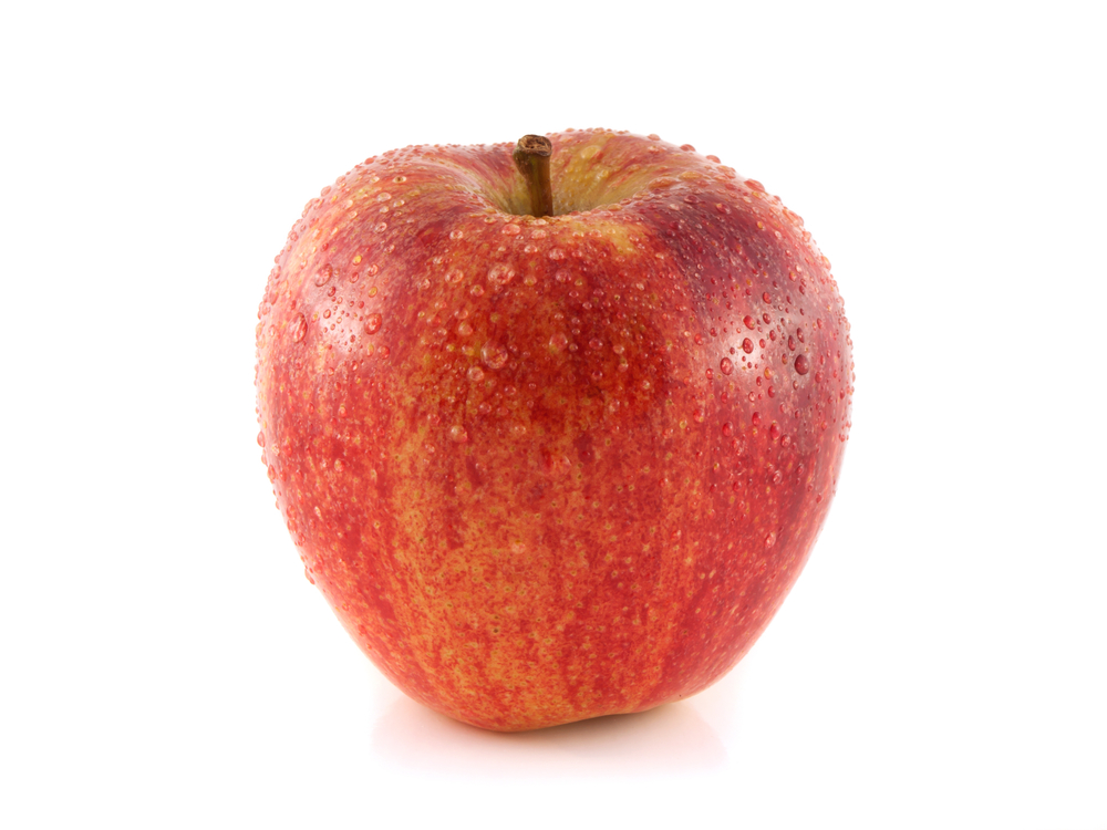 Shutterstock 128724662