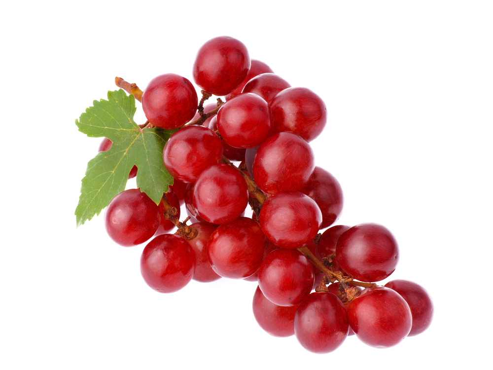 Shutterstock 128311328