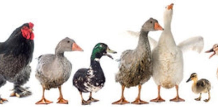 128880449 103300928304197 4972020279461284207 n