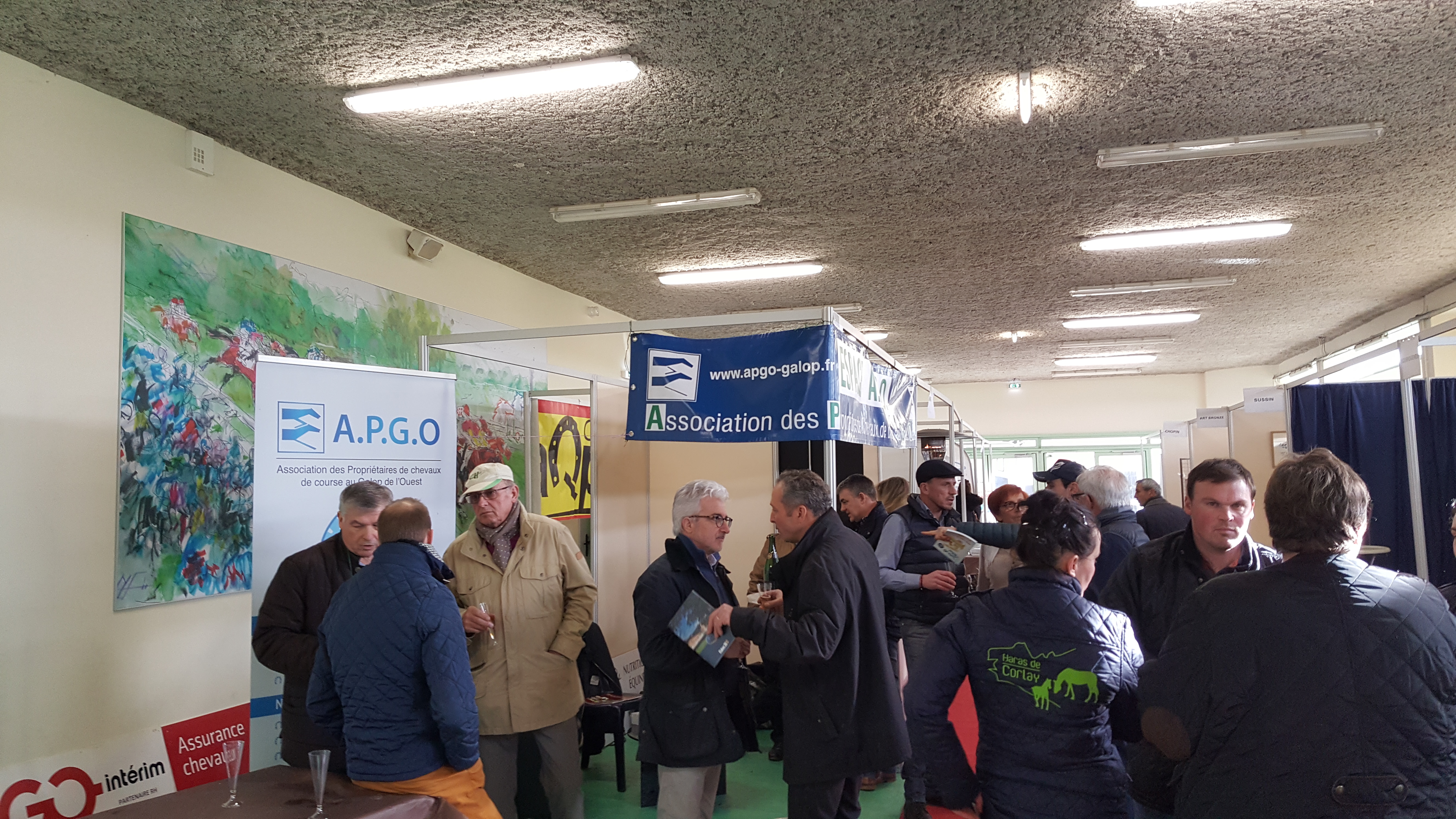 SALON DES ÉTALONS 11 JANVIER 2020