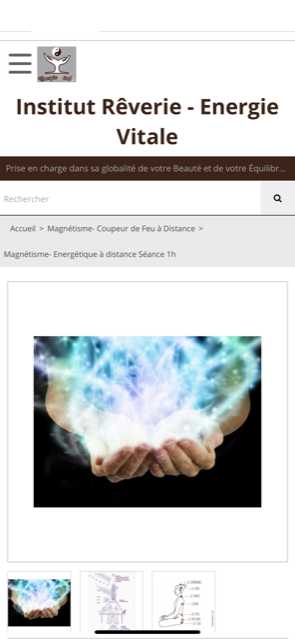 Institut-reverie-Elisabeth-venet-Energetique-magnetisme