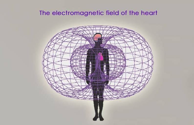 Heart-field