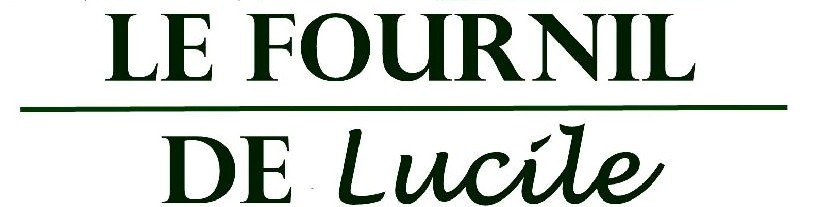 Logo-taille-reduite-Copie