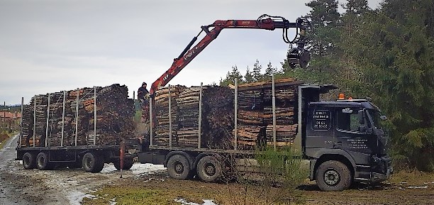 IMG 6211