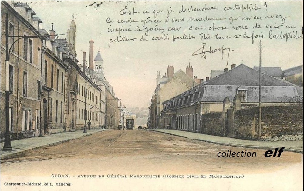 Av marguerite