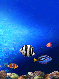 Aquarium