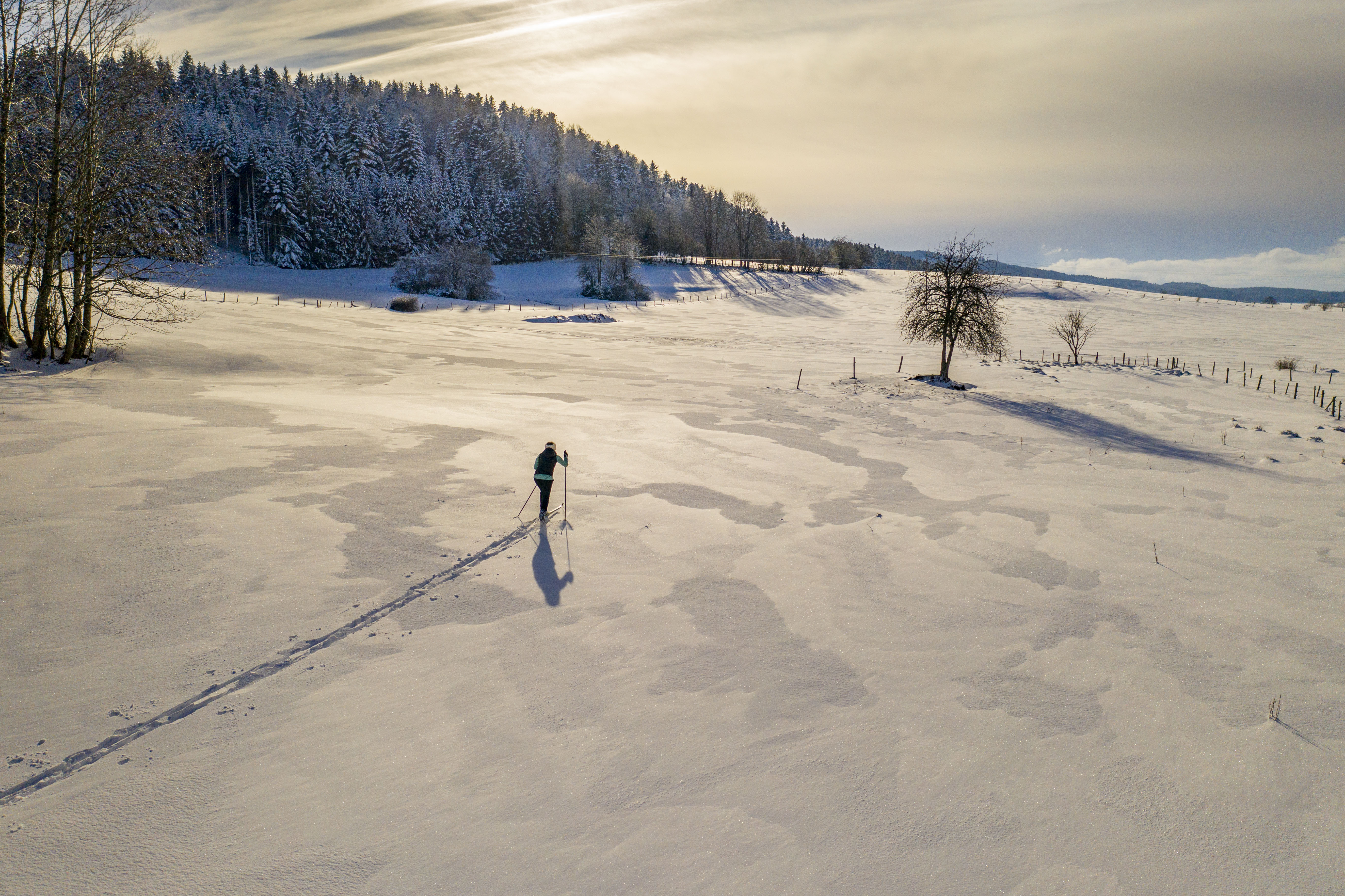 Dji 0432