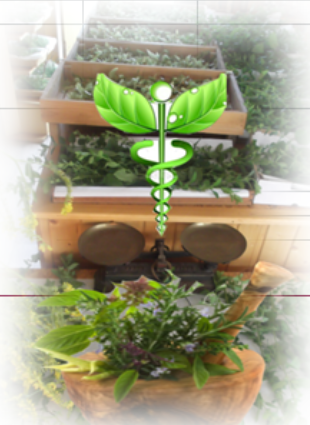 Plante acu