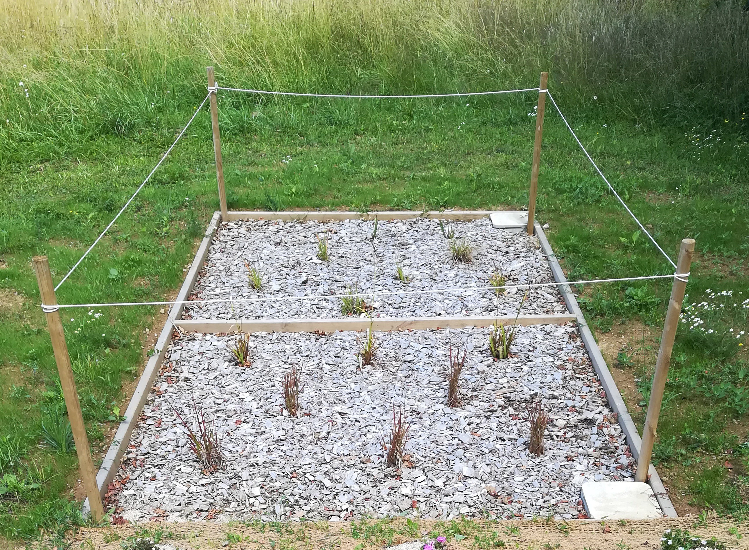 IMG 20200622 122629-Anne-Poirier1