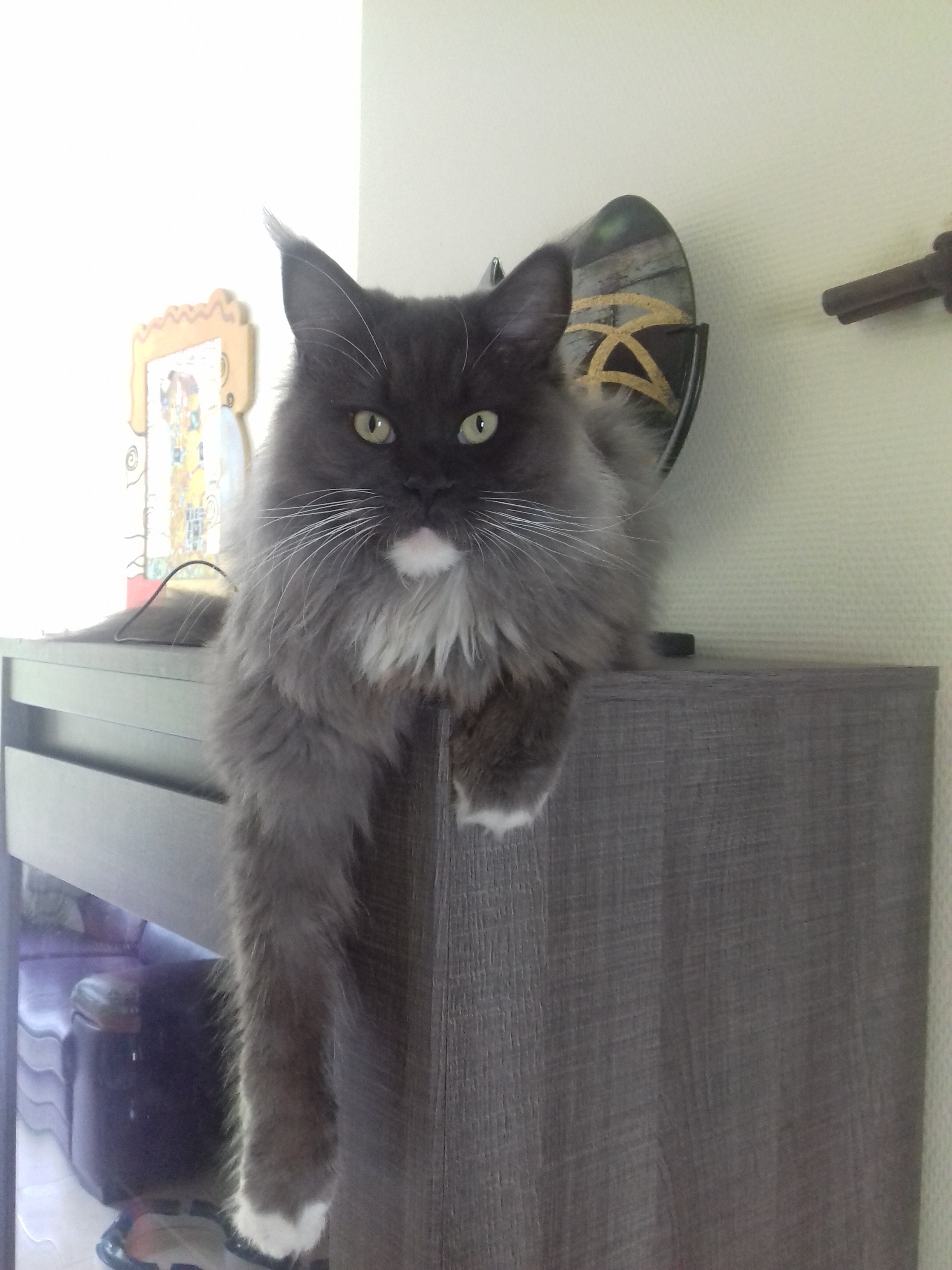 Myrtille 2