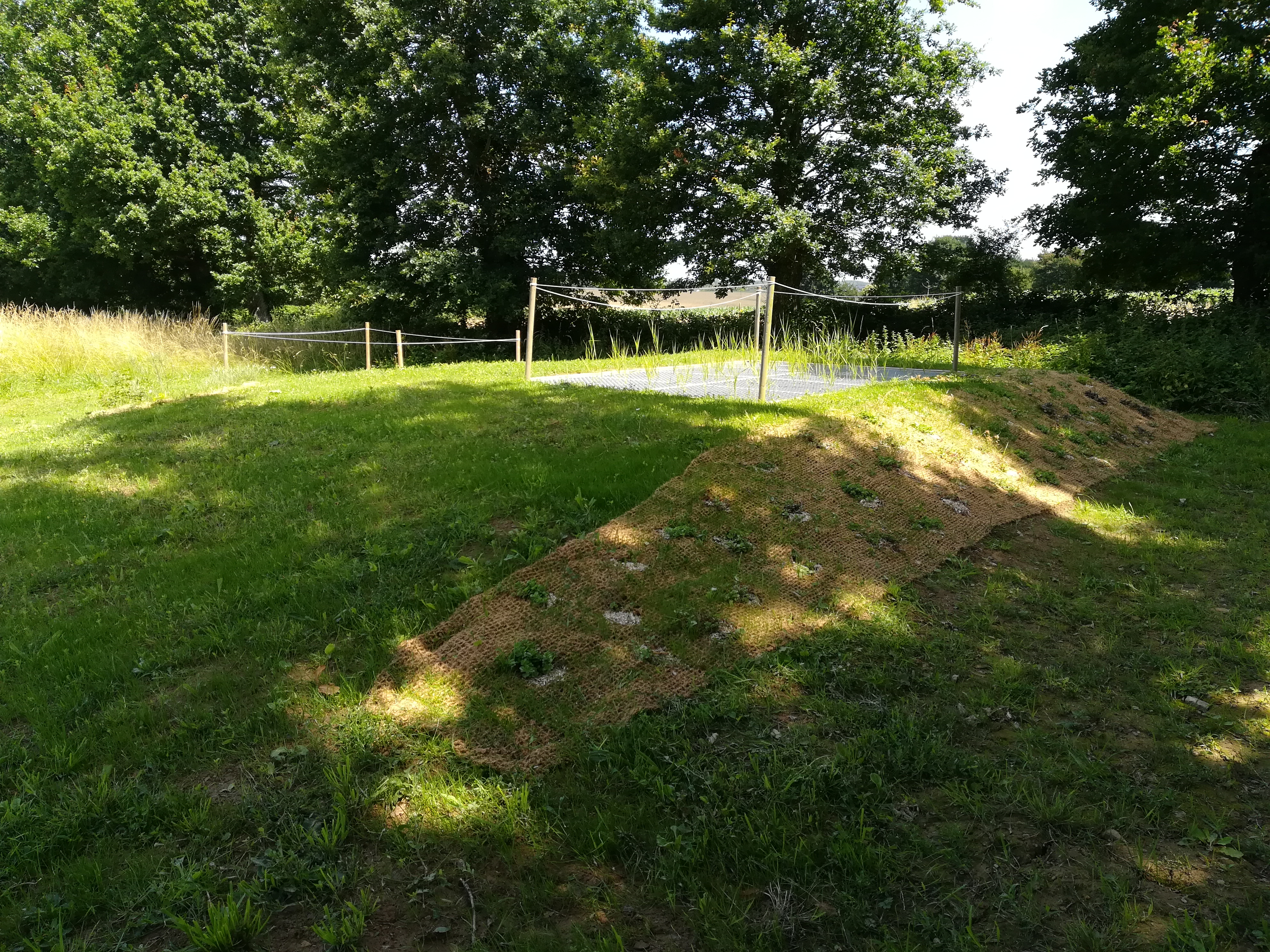 IMG 20200622 122840