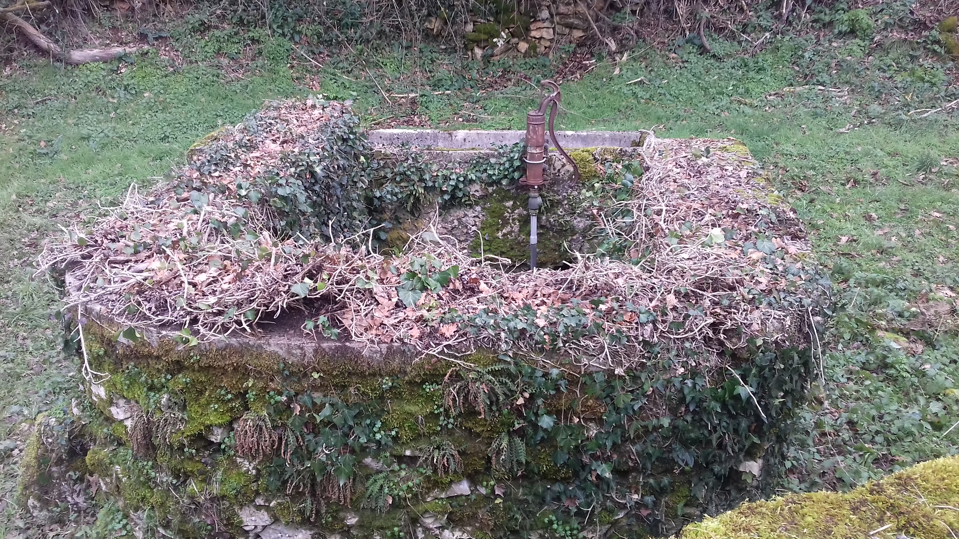 20210109 fontaine pirole 3