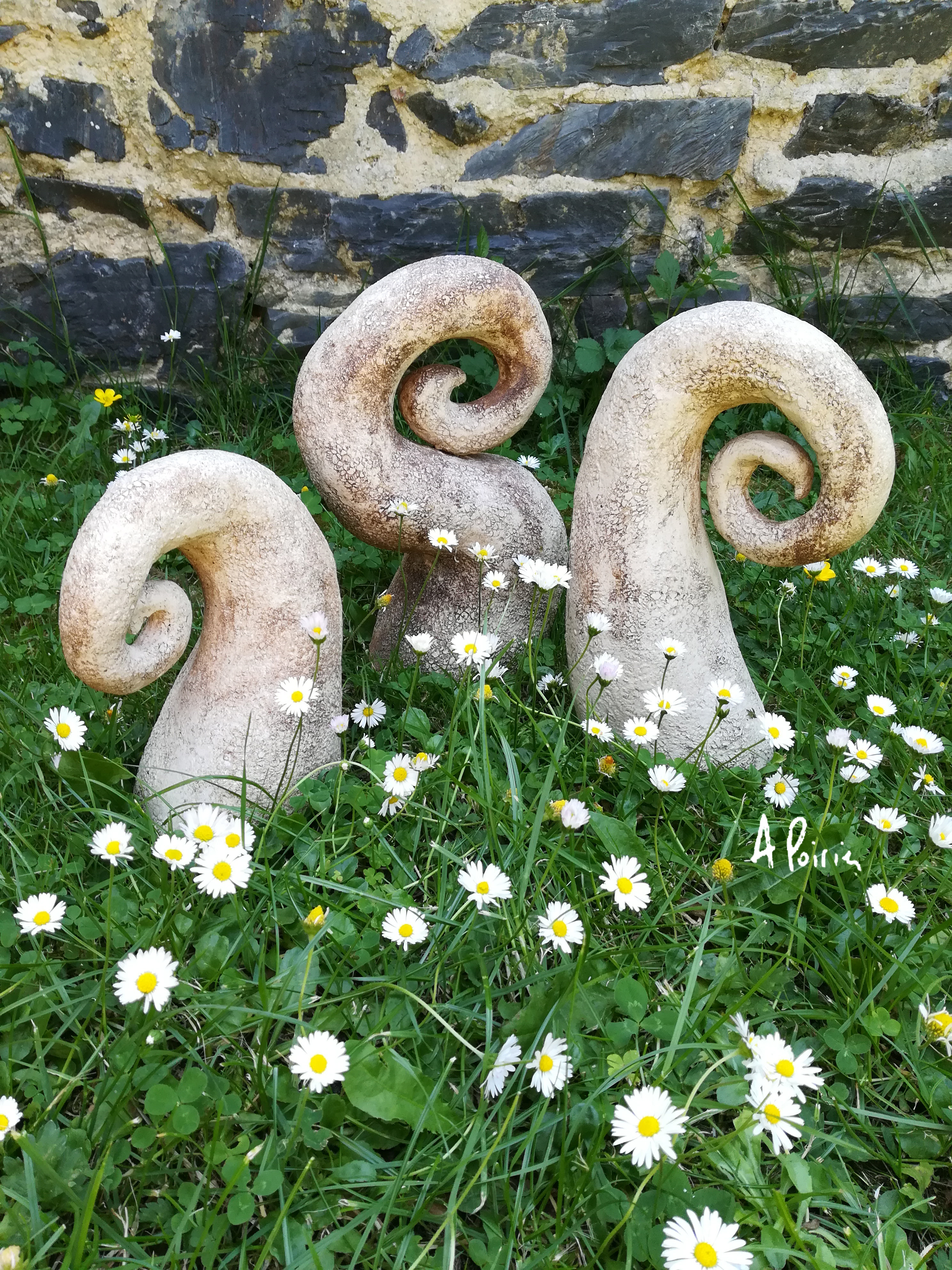 Octopus anne poirier