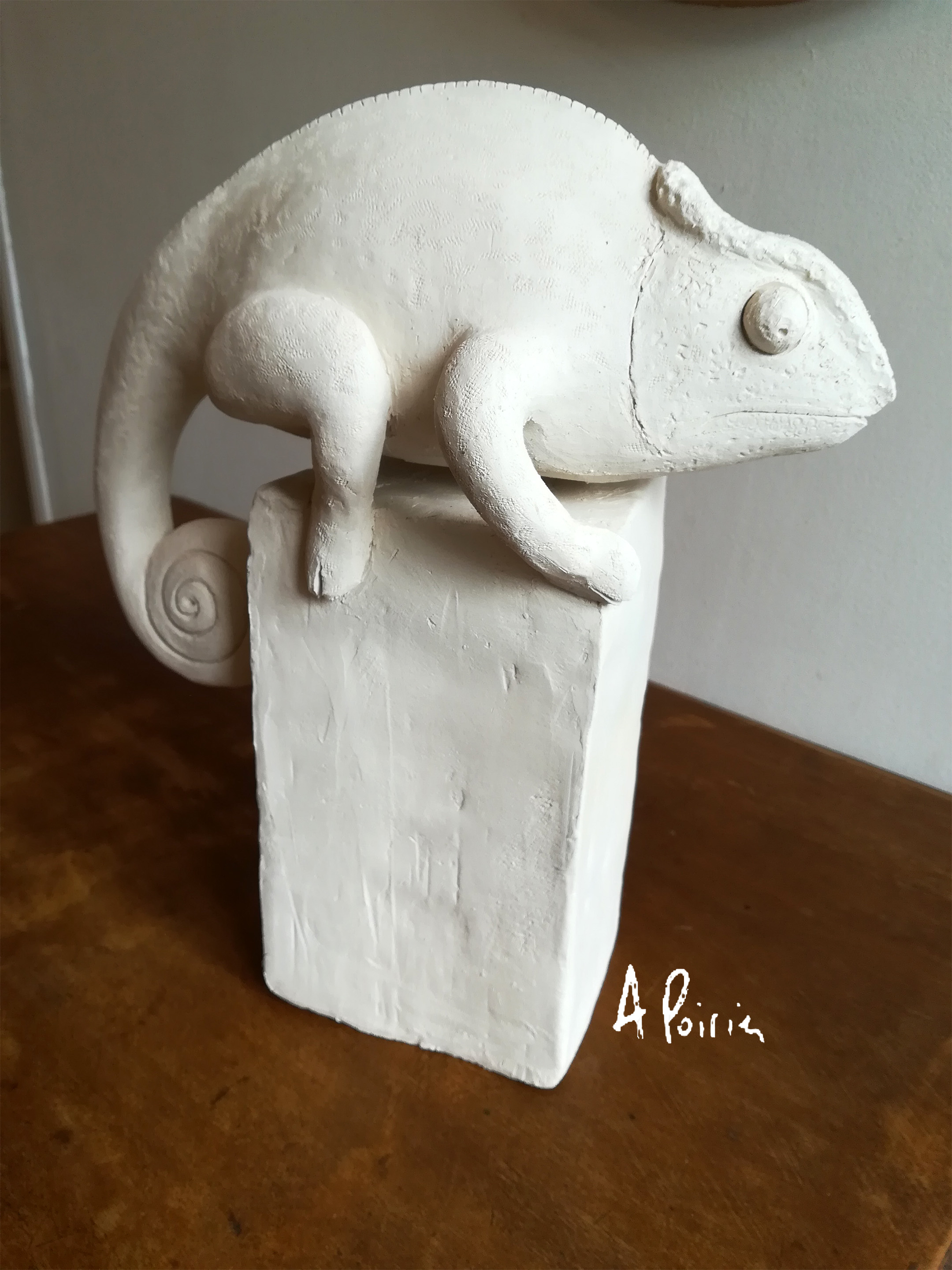 Cameleon-Anne-Poirier
